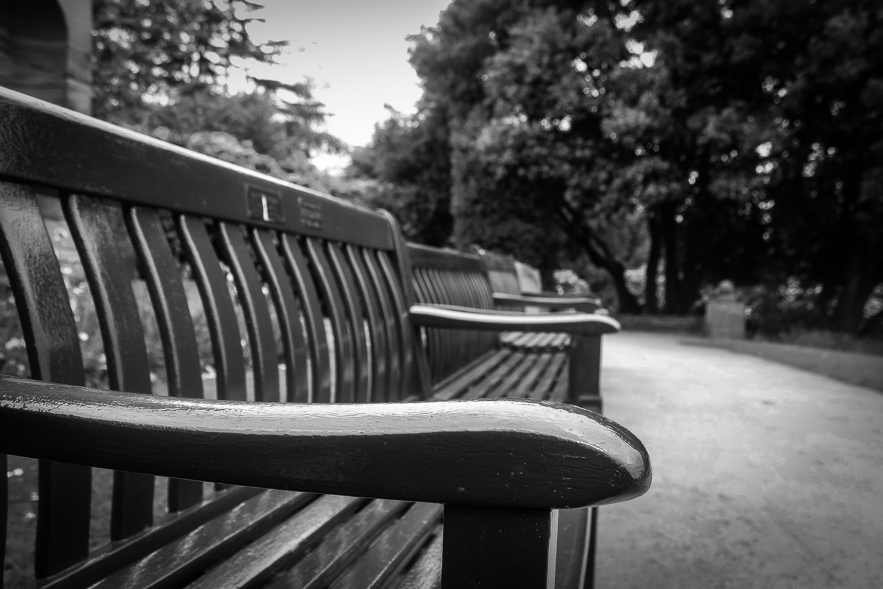 Photo by luke_photography