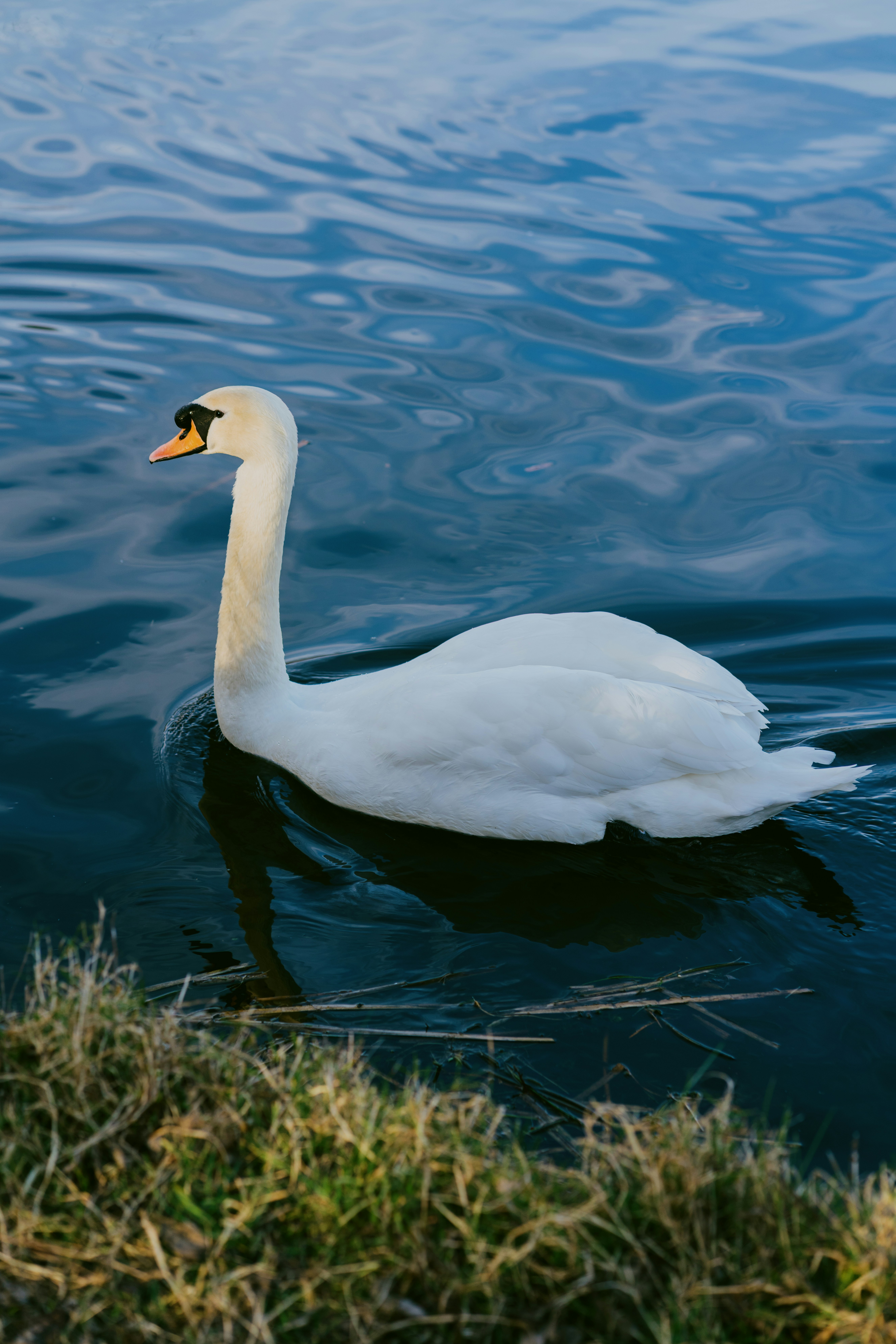 Photo by raymondokoro