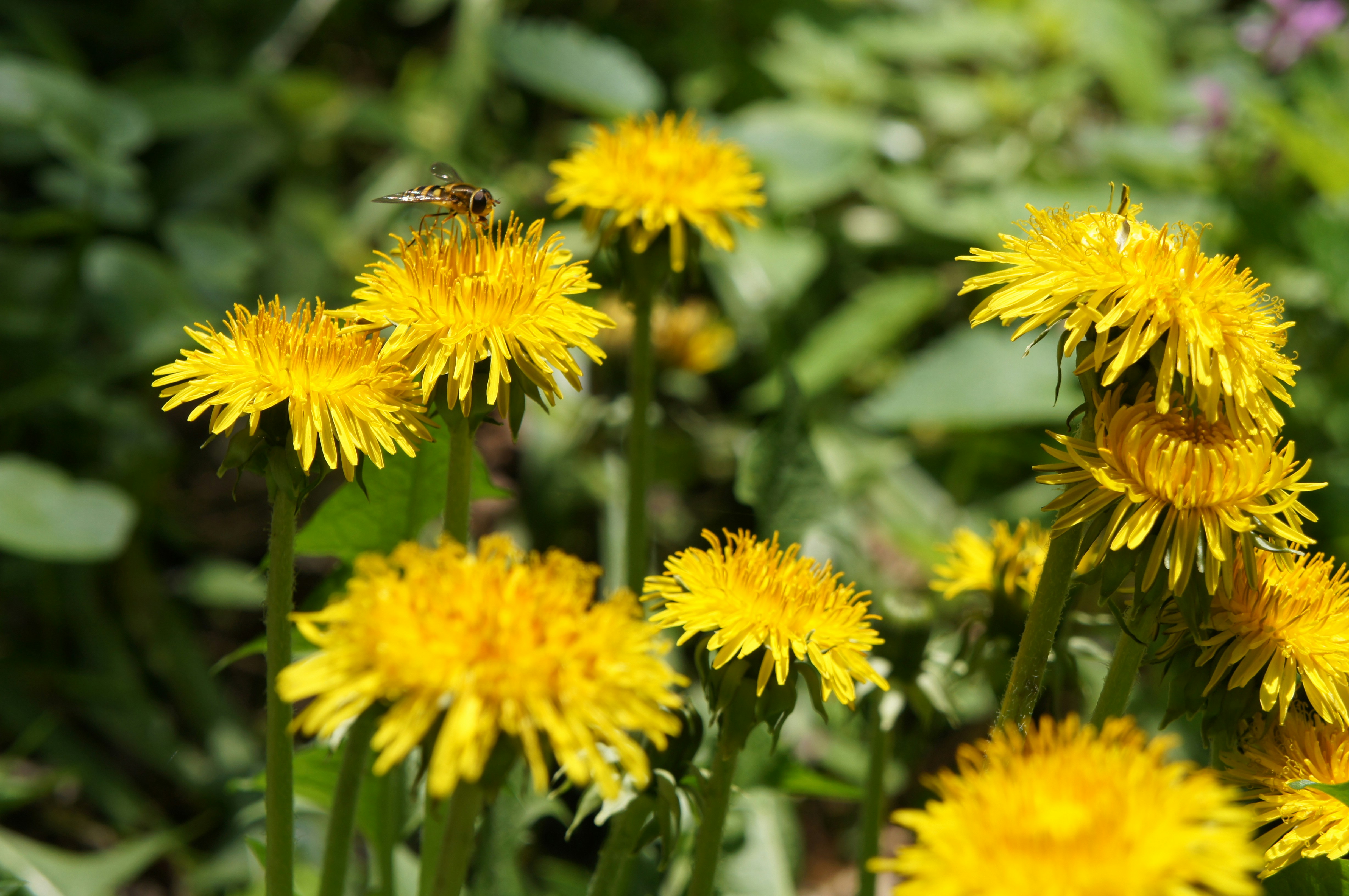 Photo by 26_sofia_26