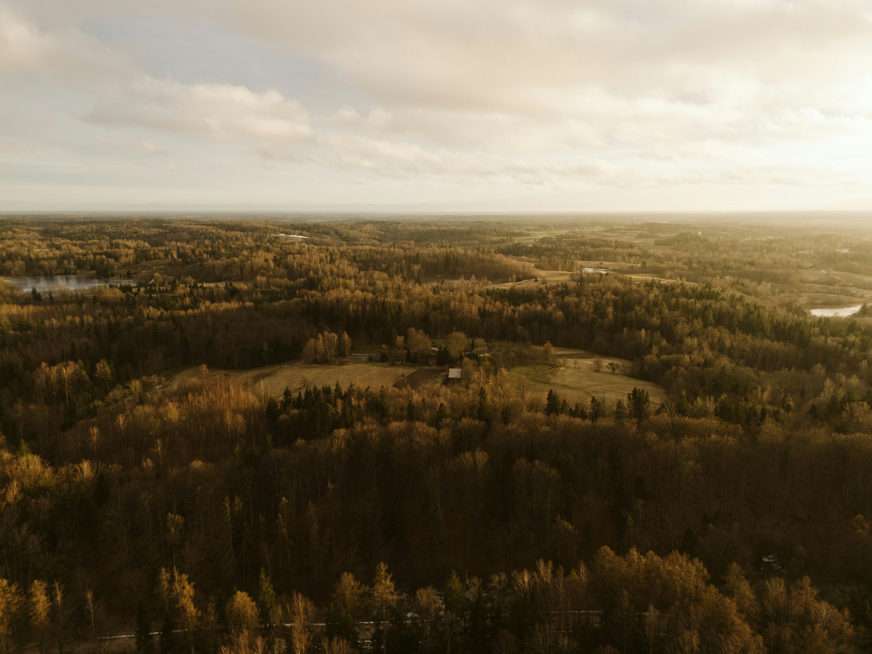 Photo by vilkuaivars