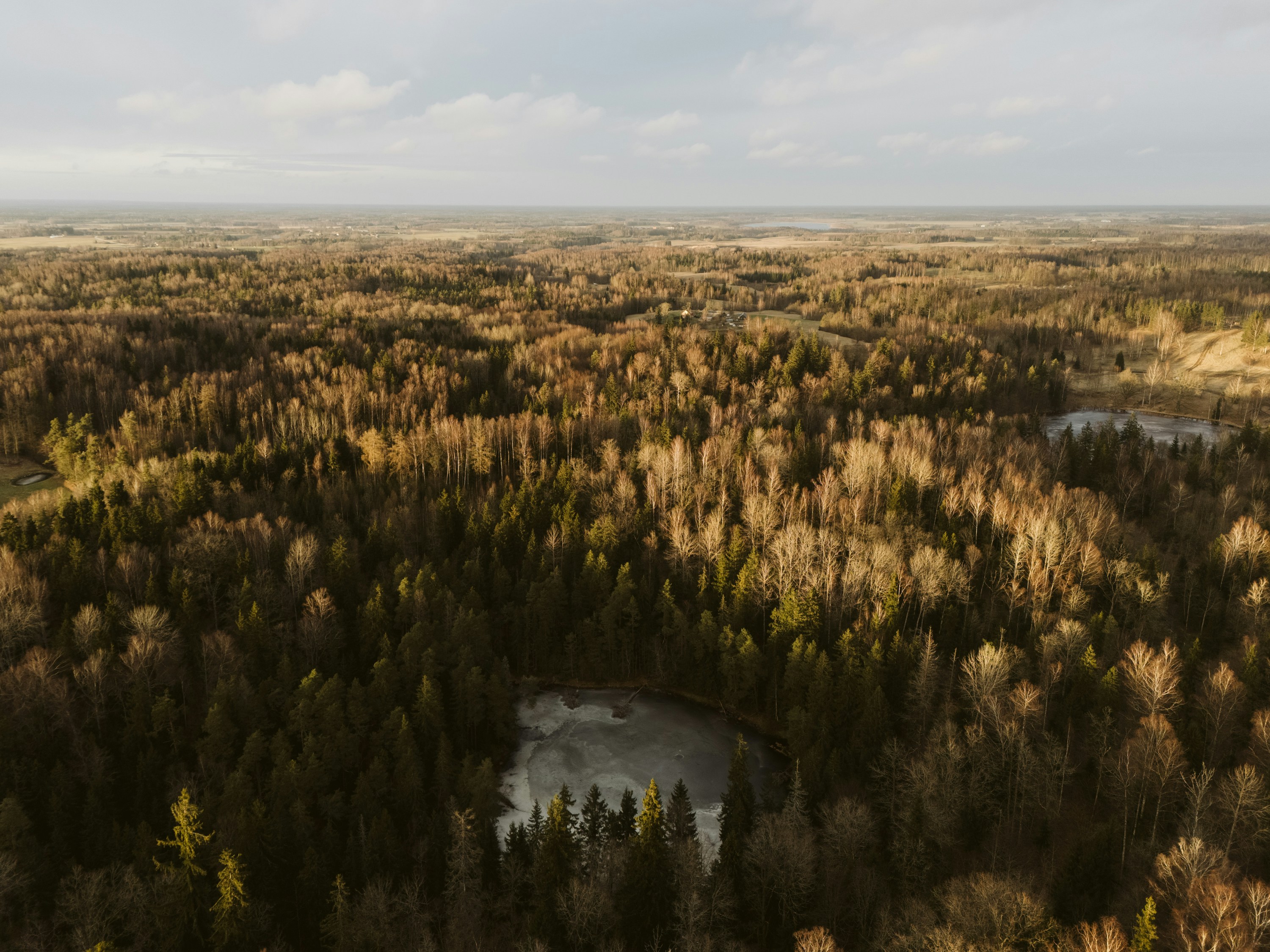 Photo by vilkuaivars