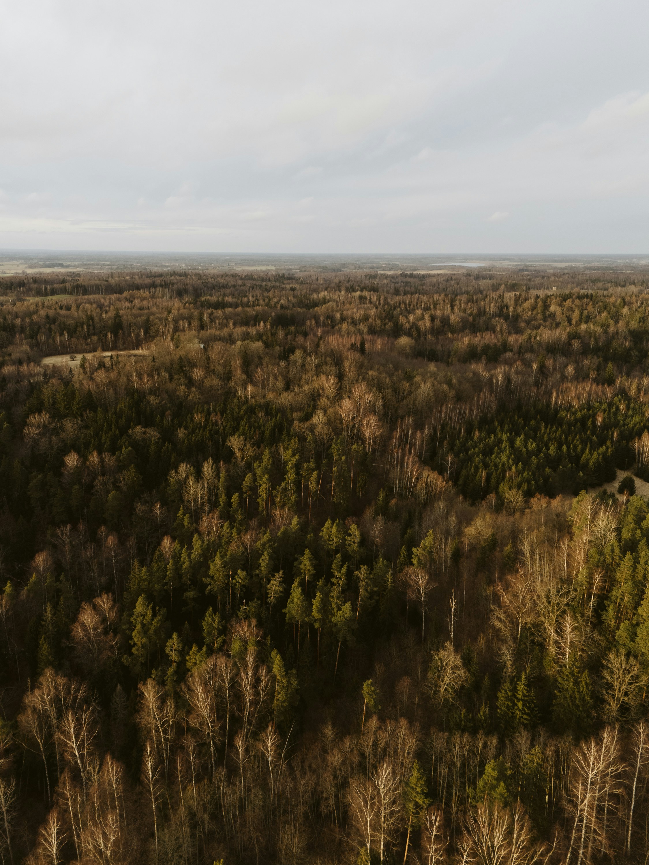 Photo by vilkuaivars