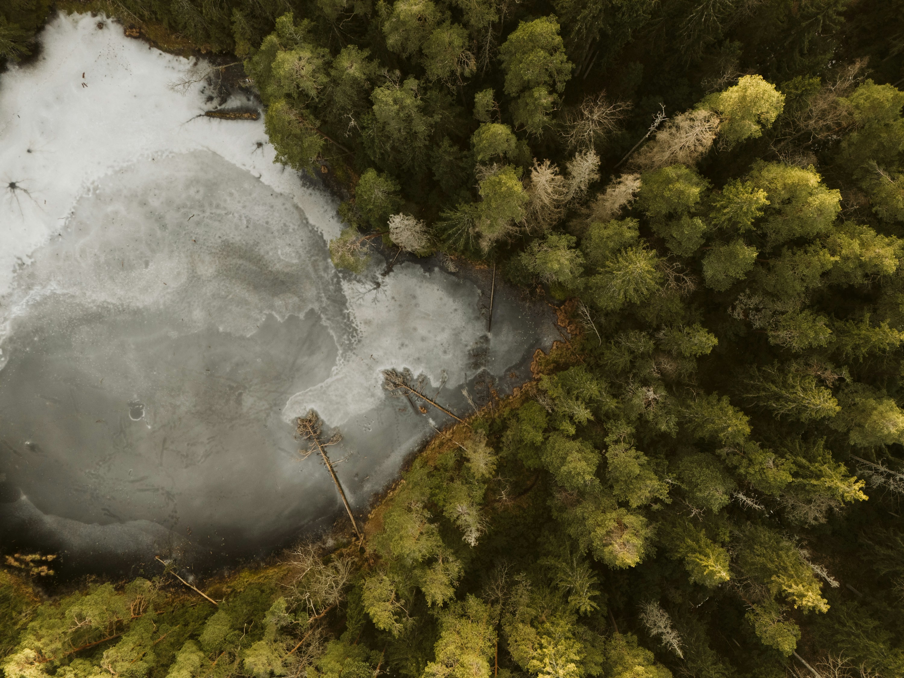 Step Into A Time Device On Wheels! Discover Our Tempting Series Of Vintage Cars Offer For Sale, Good To Go To Bring You Back To The Magnificent Age Of Automobile Appeal