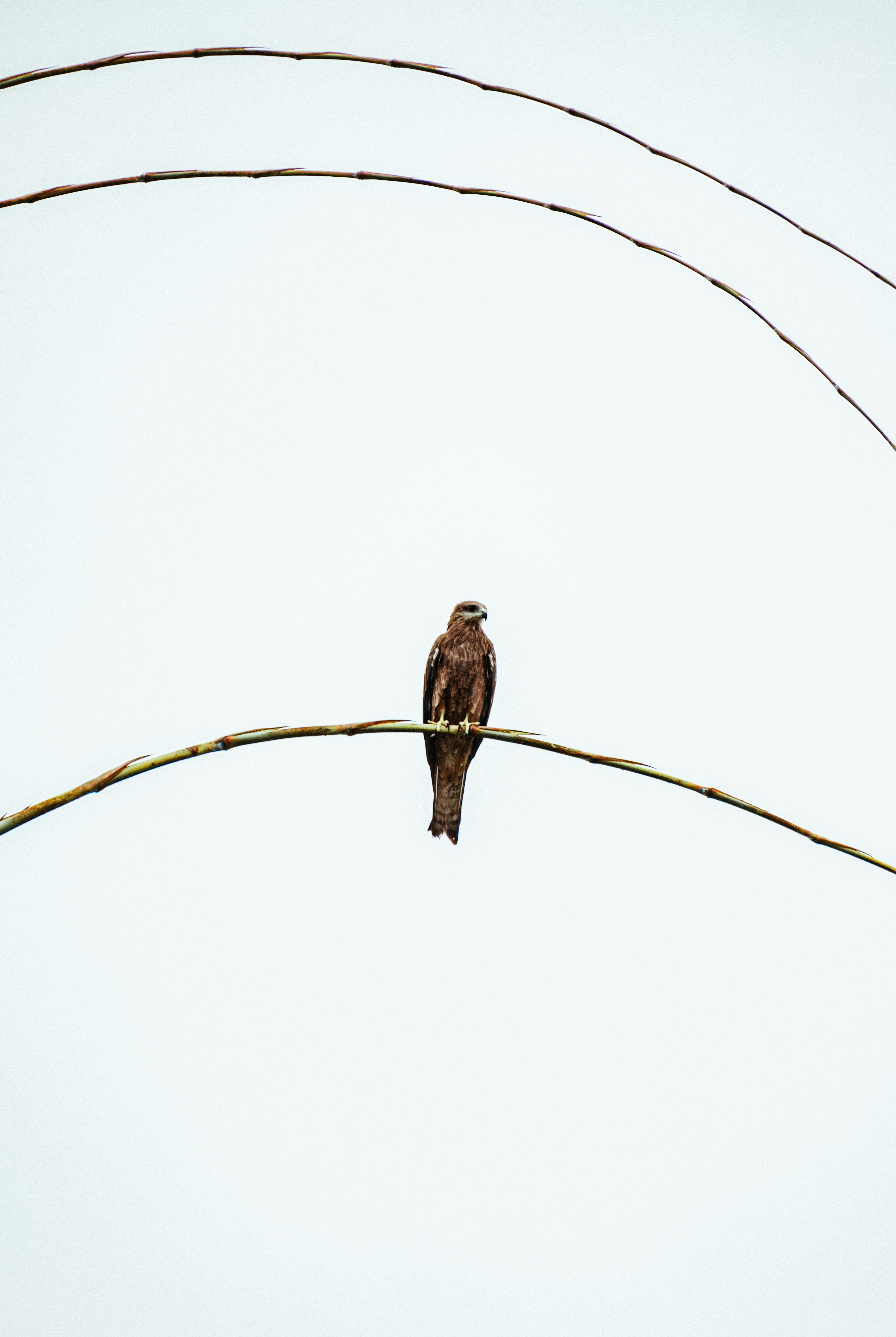 Photo by daniele_franchi