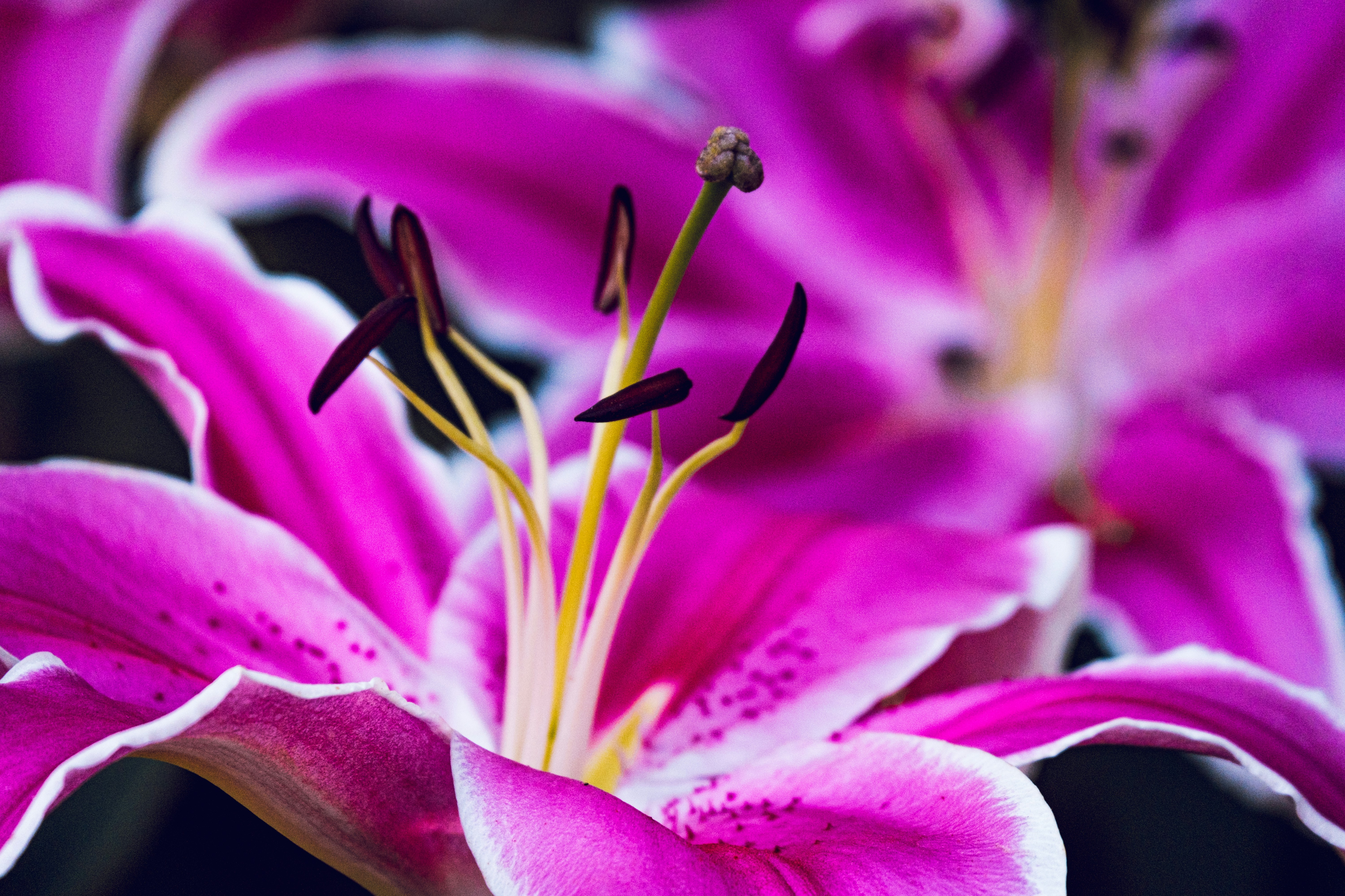 Photo by daniele_franchi