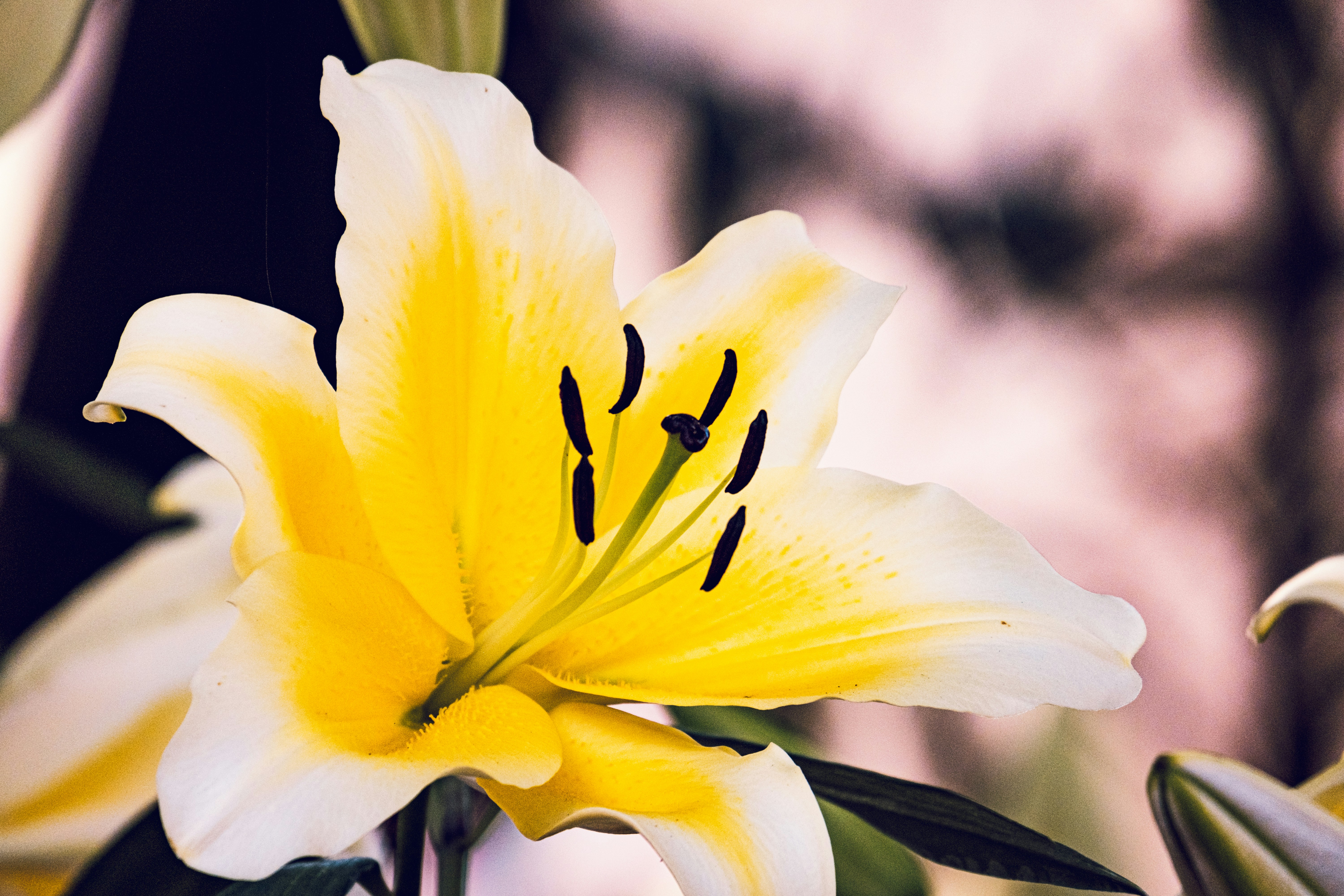 Photo by daniele_franchi