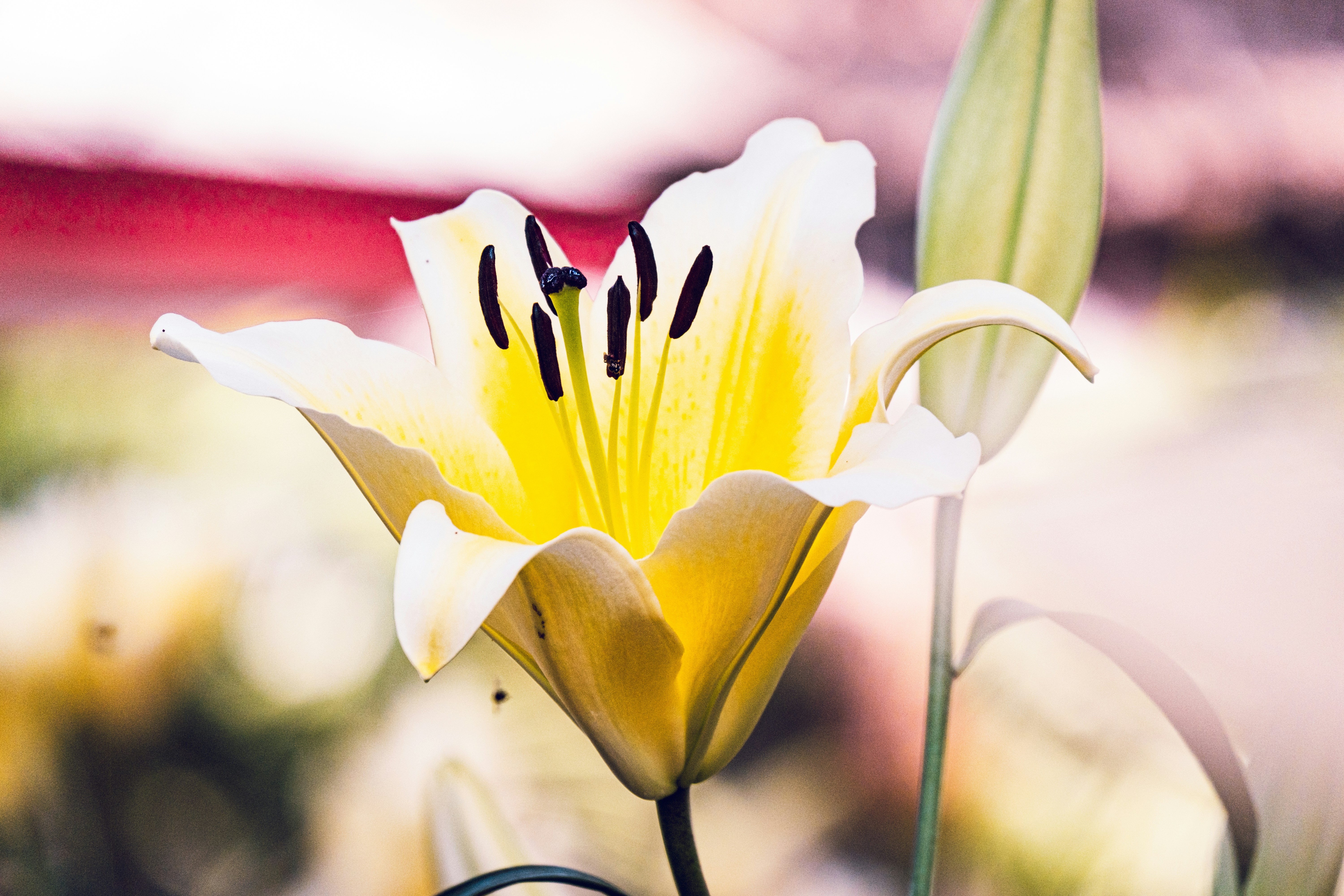 Photo by daniele_franchi