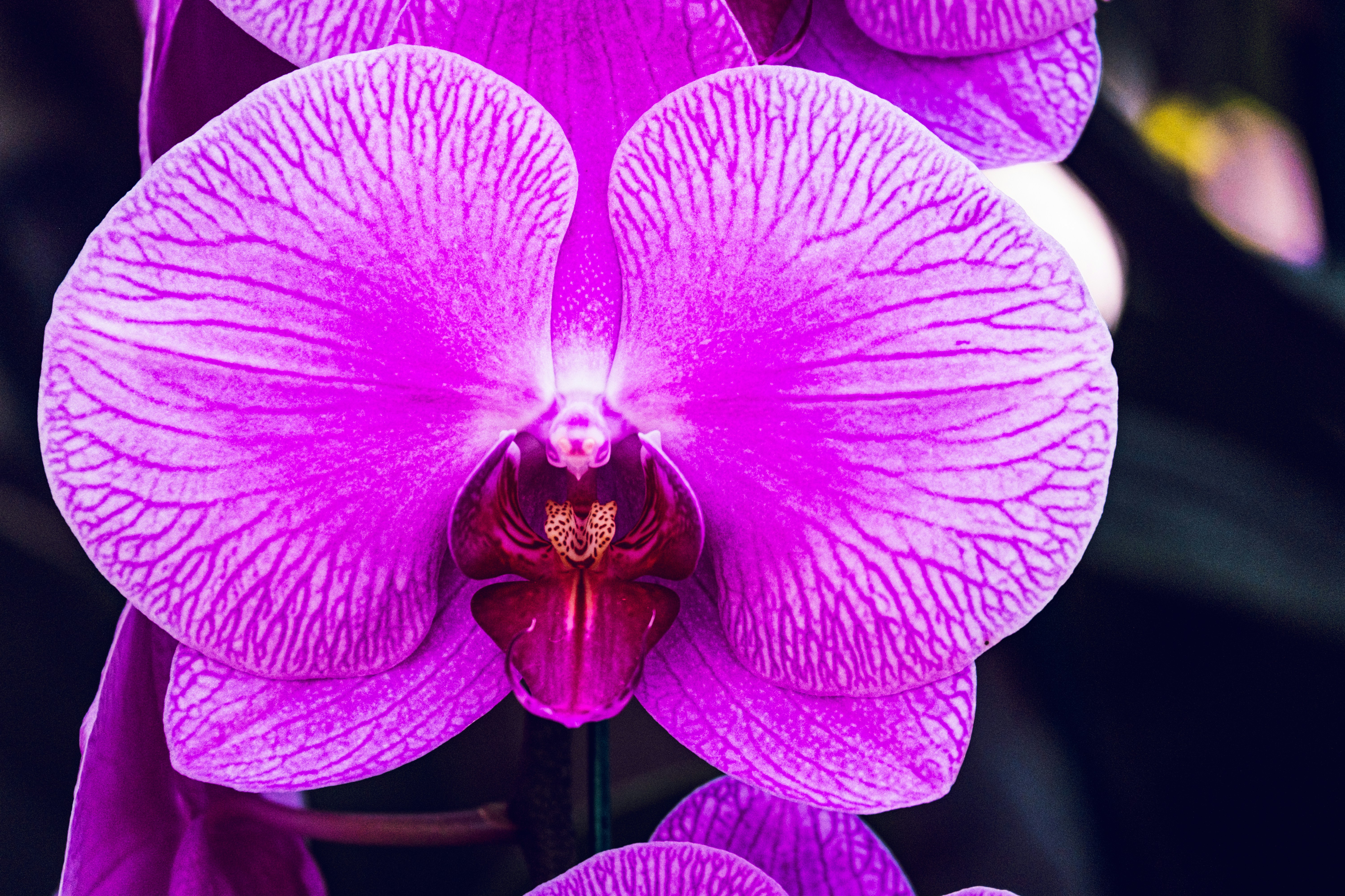 Photo by daniele_franchi