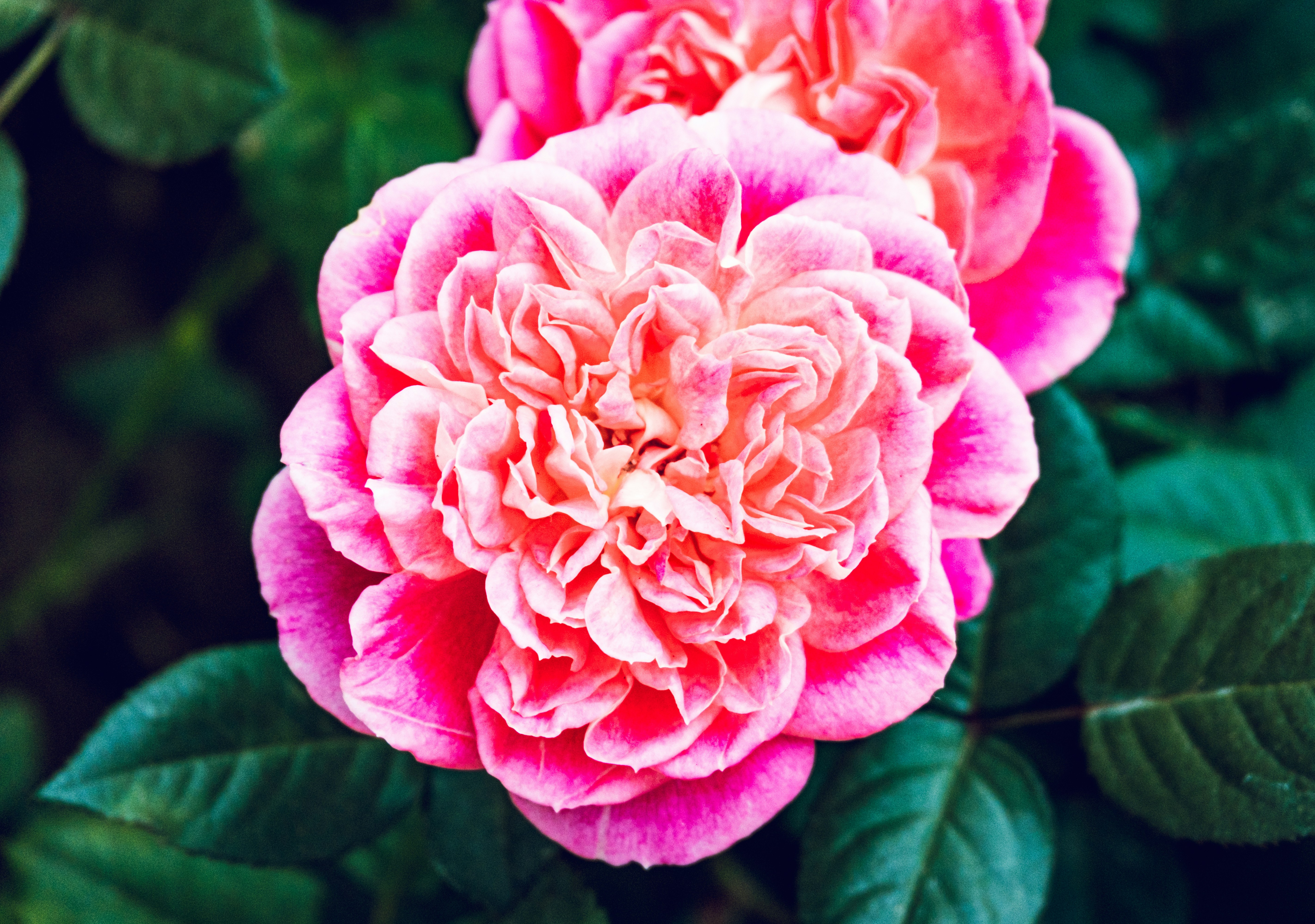 Photo by daniele_franchi