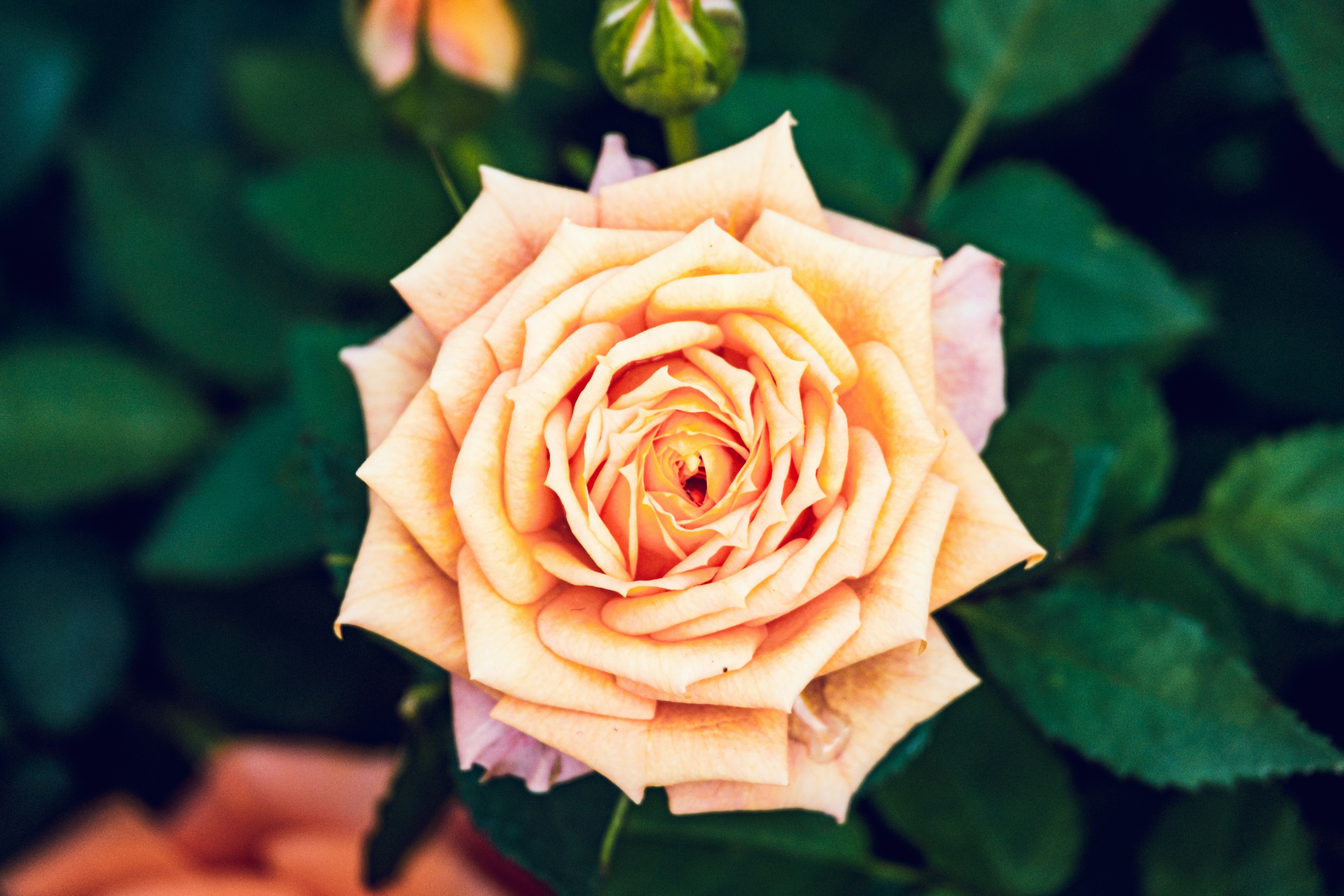 Photo by daniele_franchi