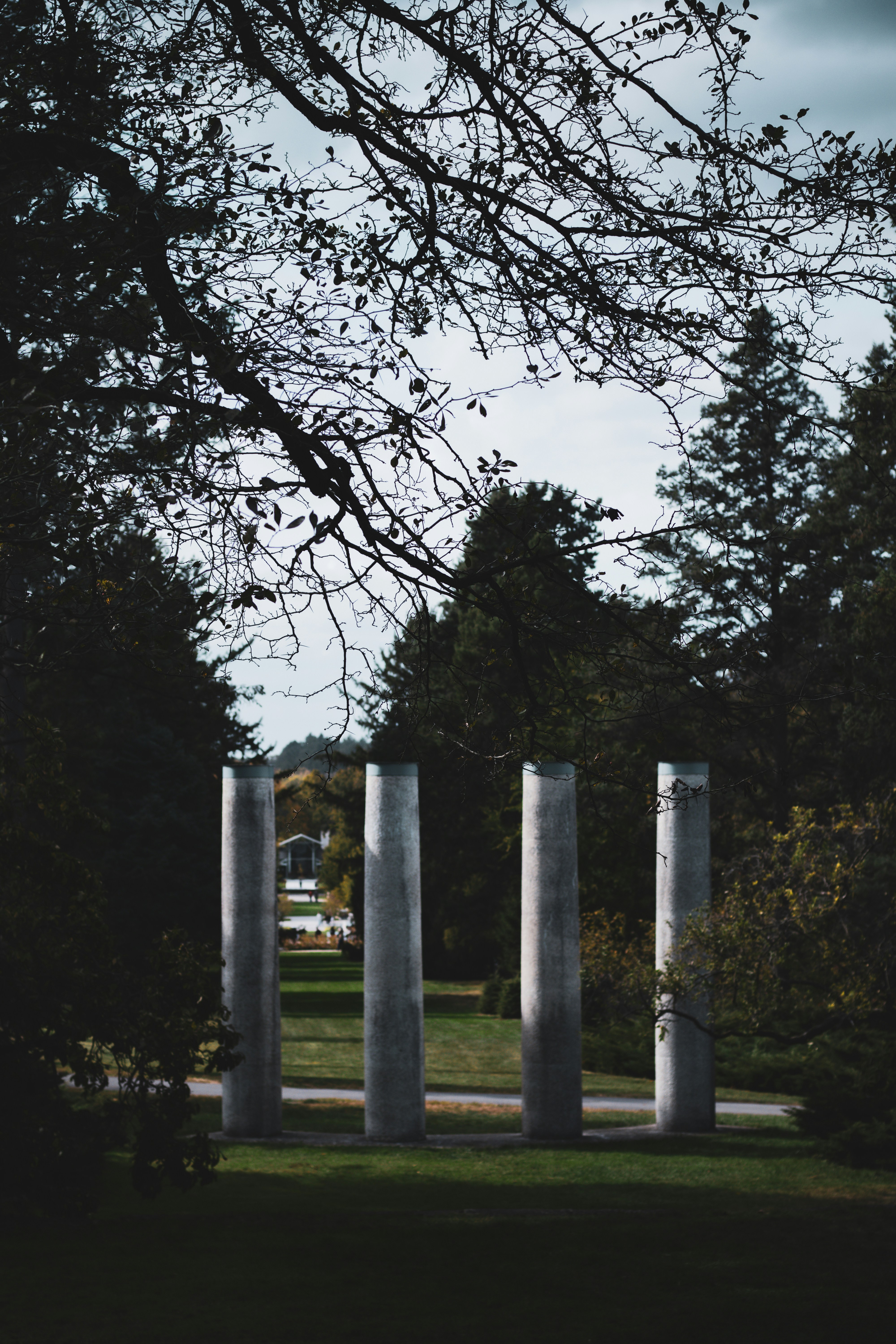 Photo by jdphotography