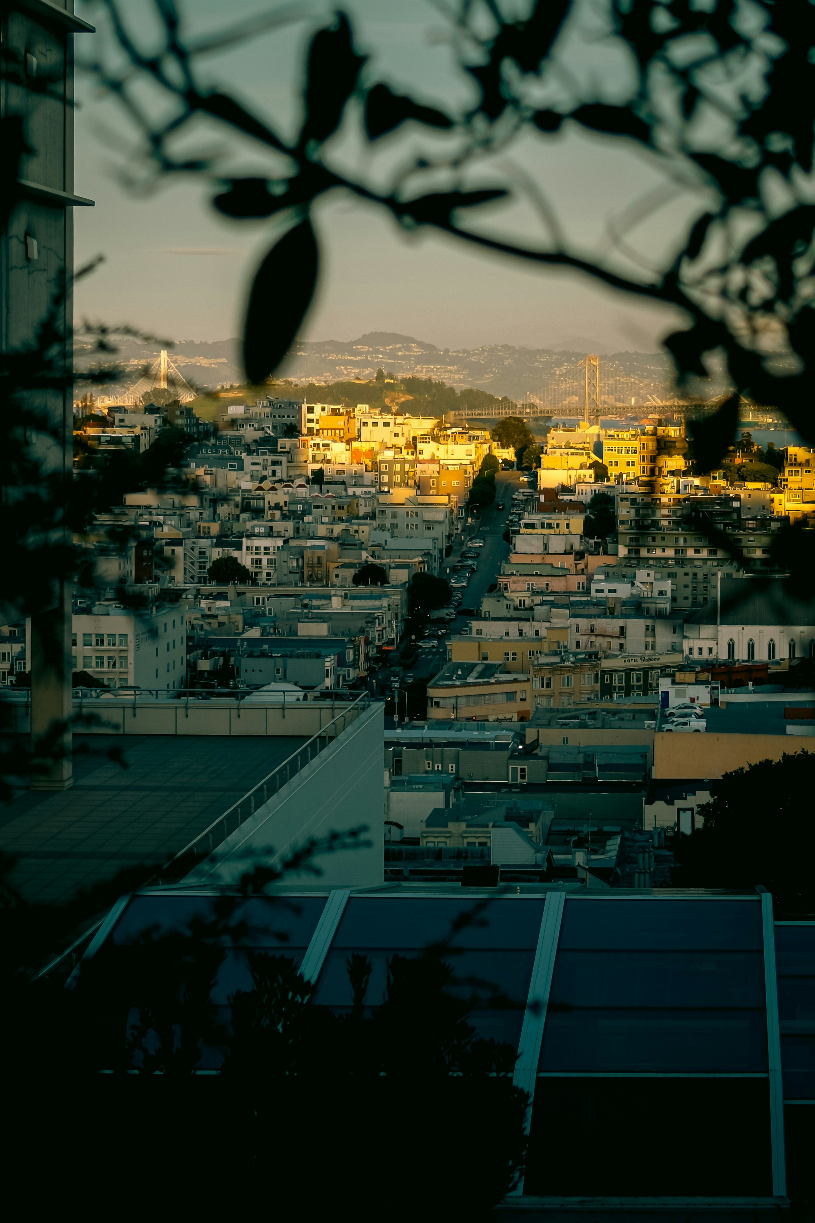 Photo by kalaniparker