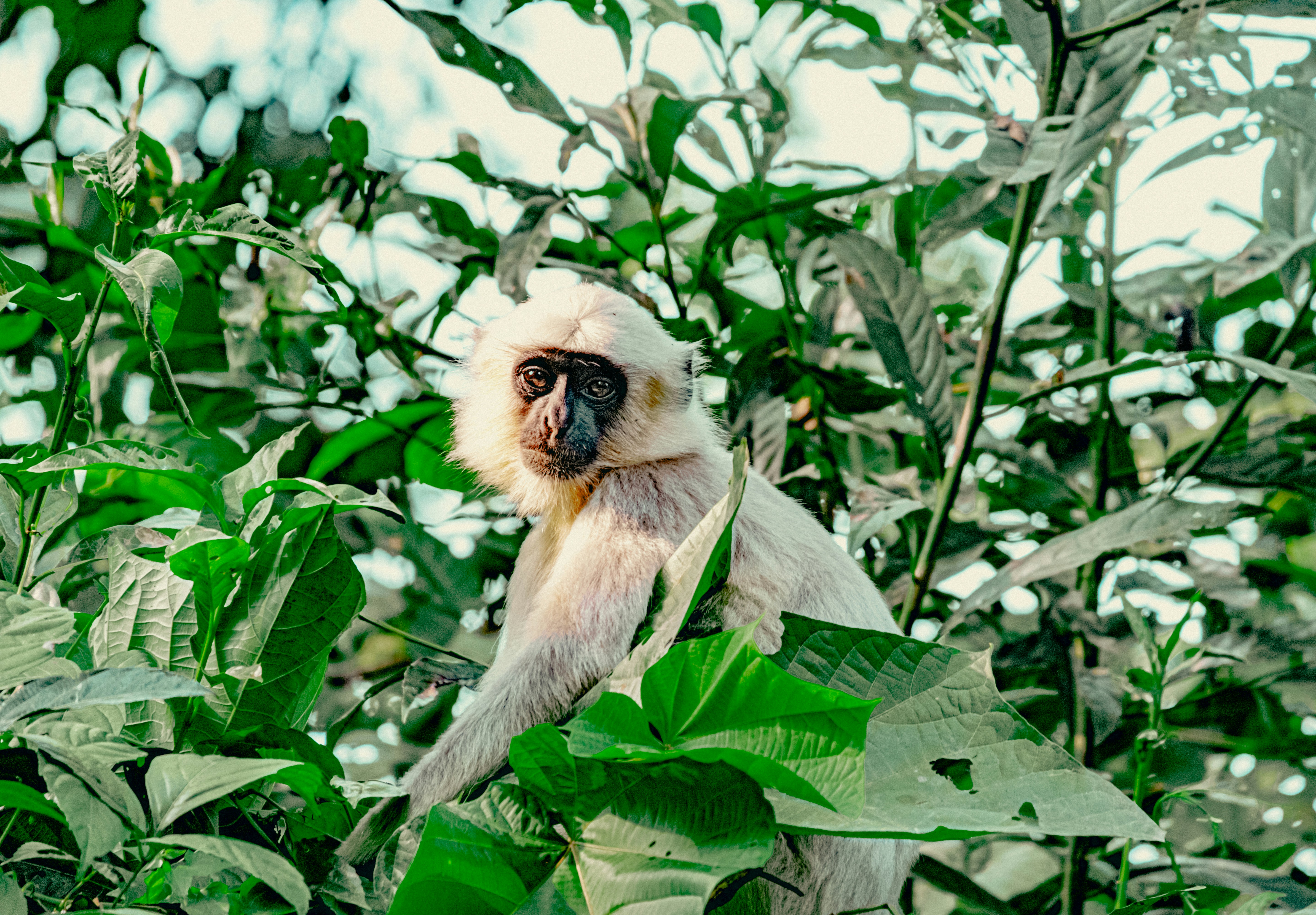 Photo by daniele_franchi