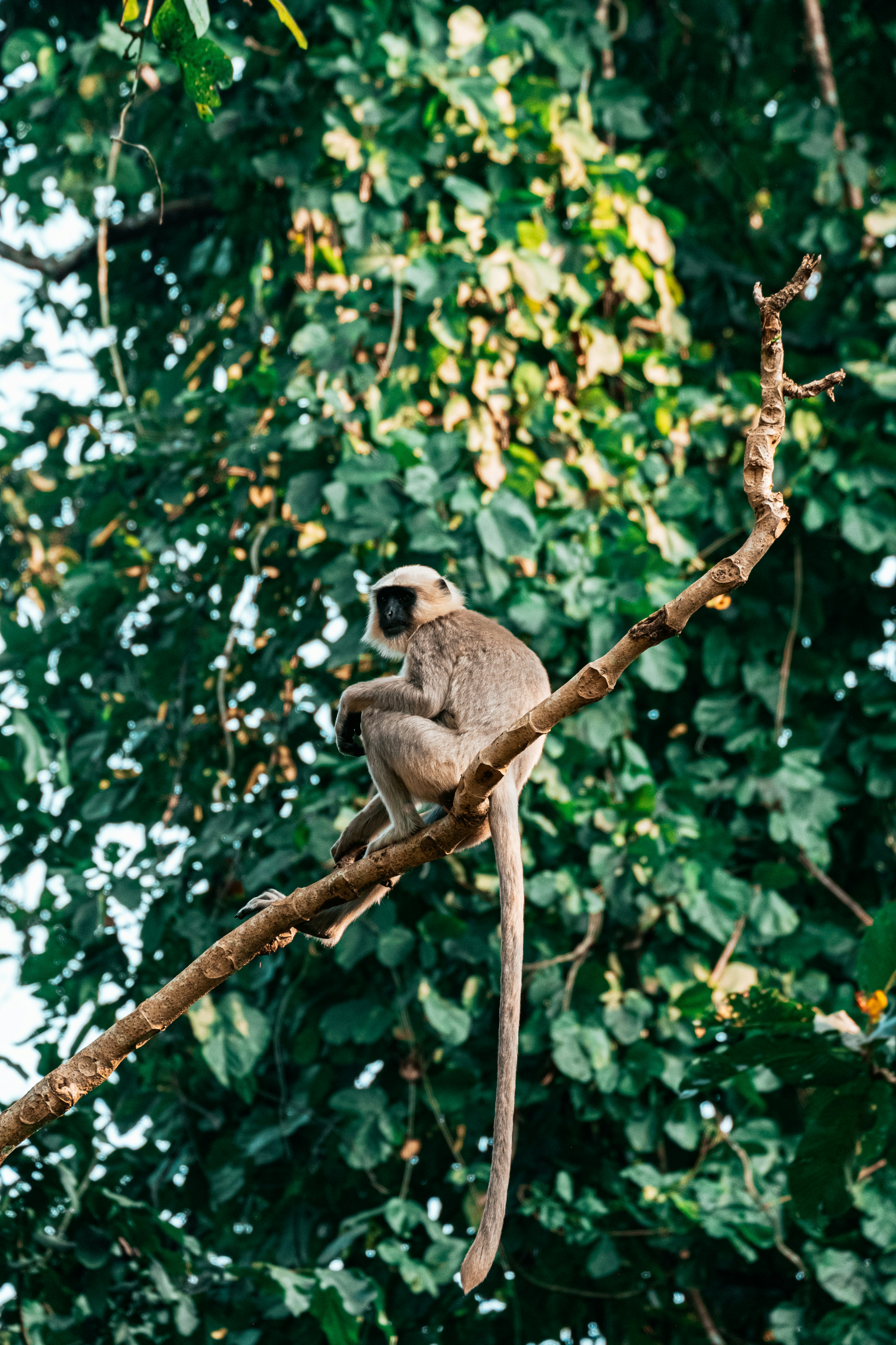 Photo by daniele_franchi