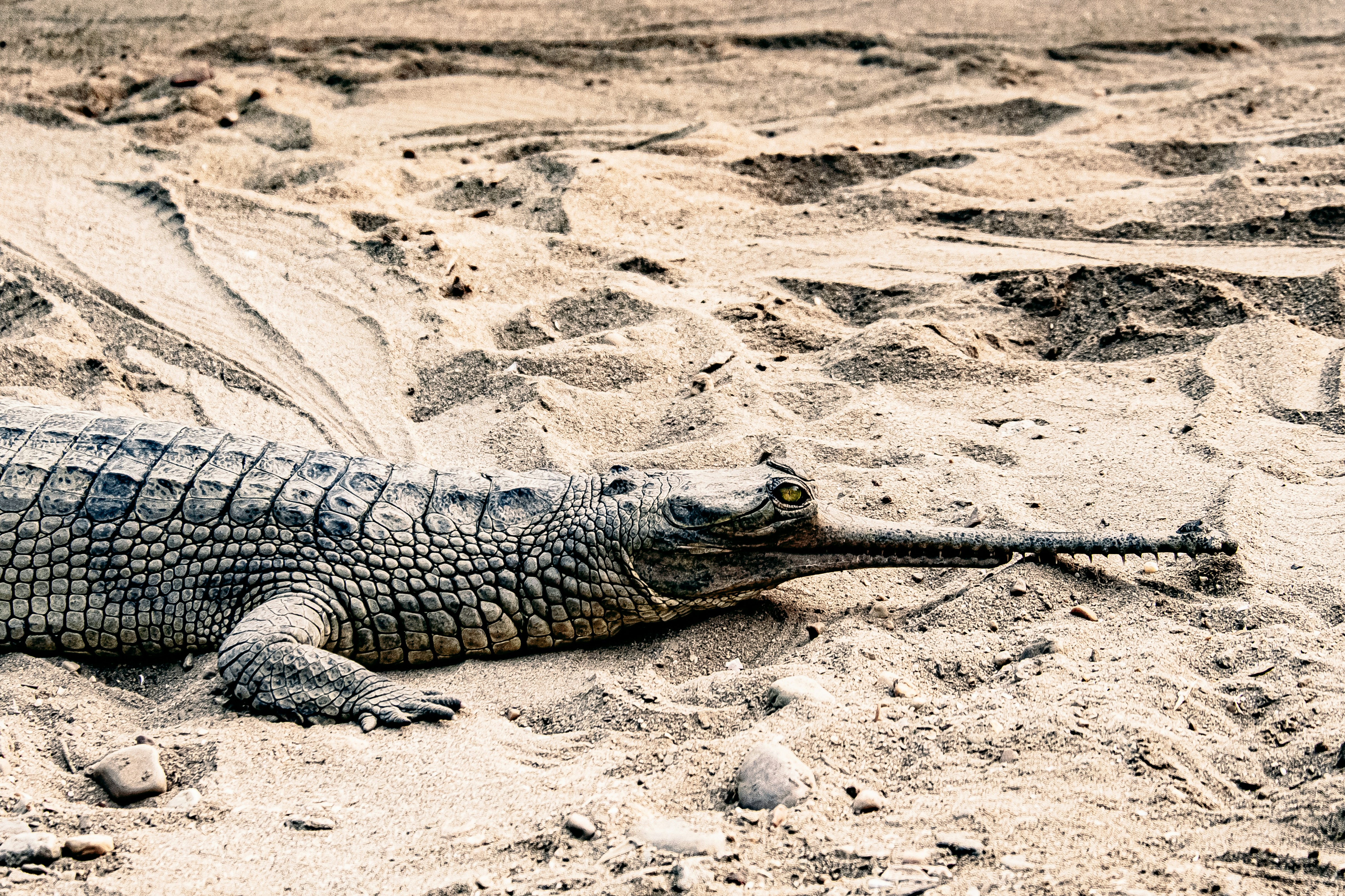 Photo by daniele_franchi