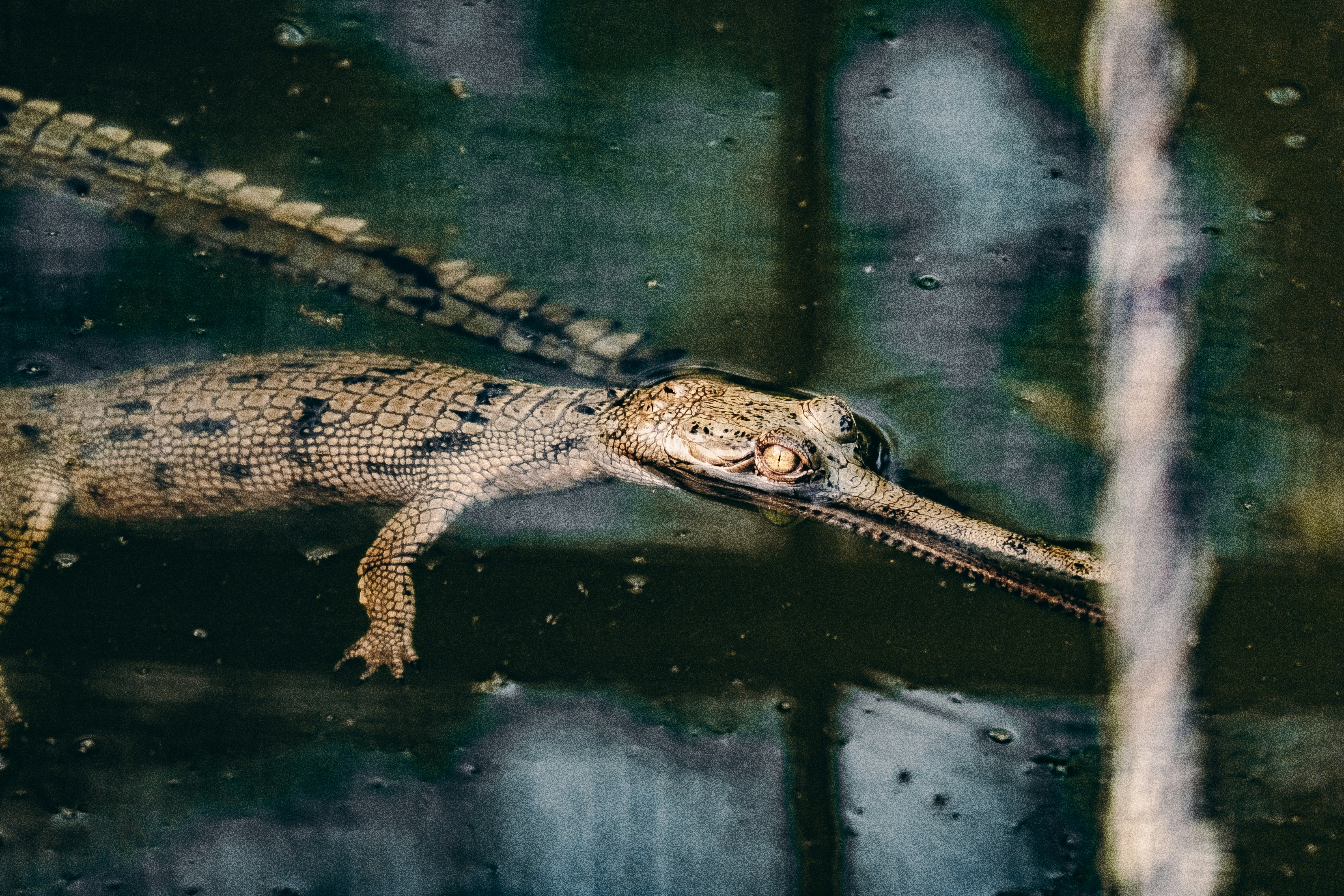 Photo by daniele_franchi