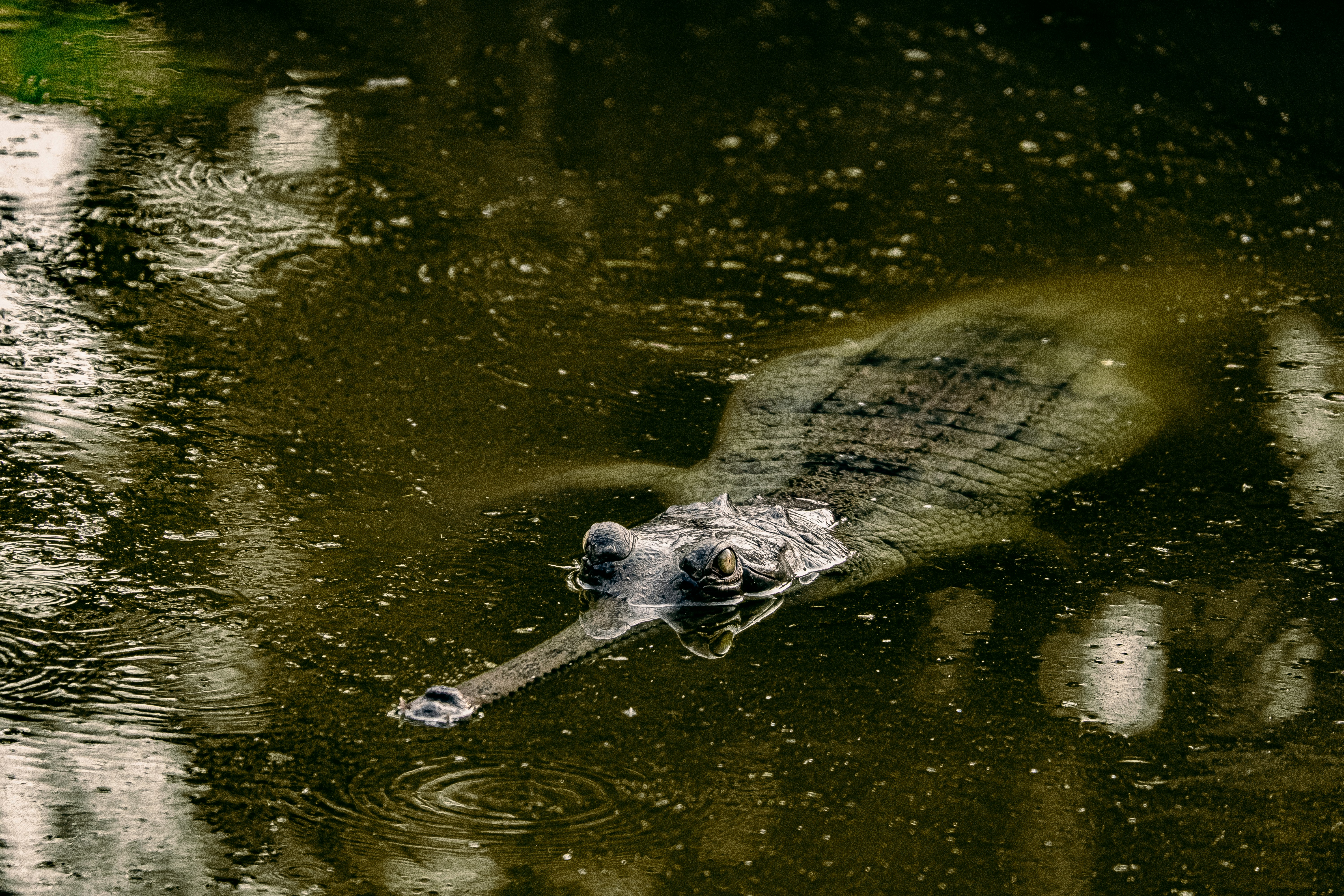 Photo by daniele_franchi