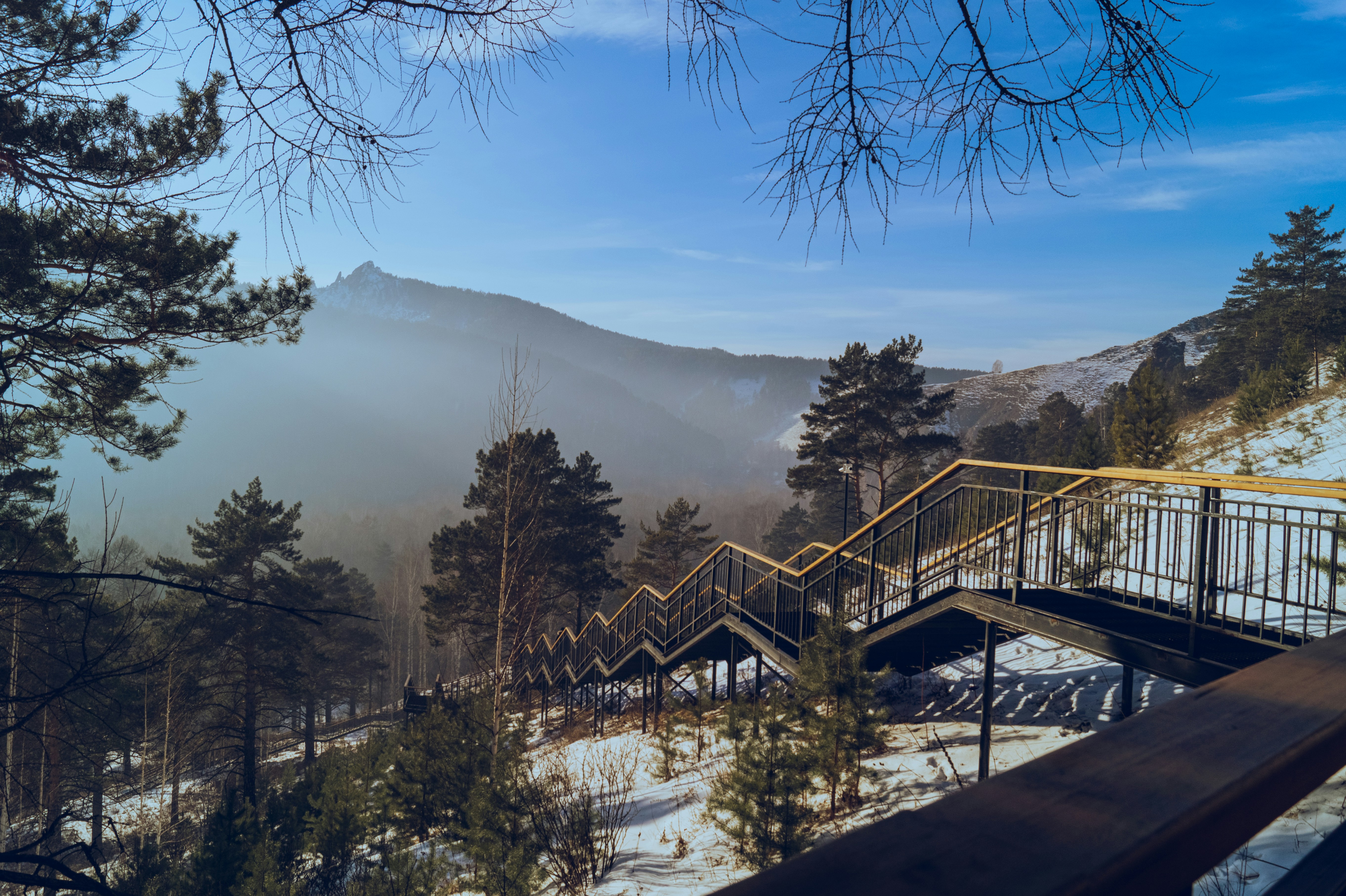 Staircase leads to a snowy mountain in a forest.