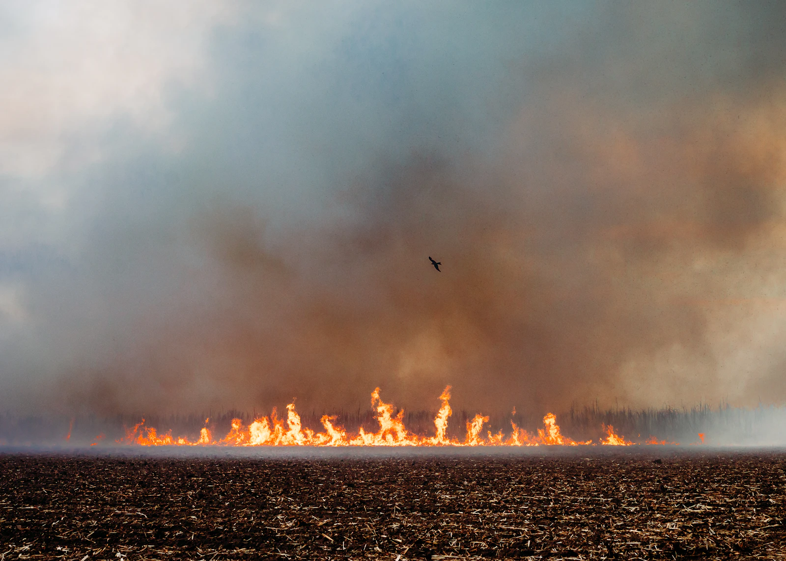 NSW rural farm property with native vegetation