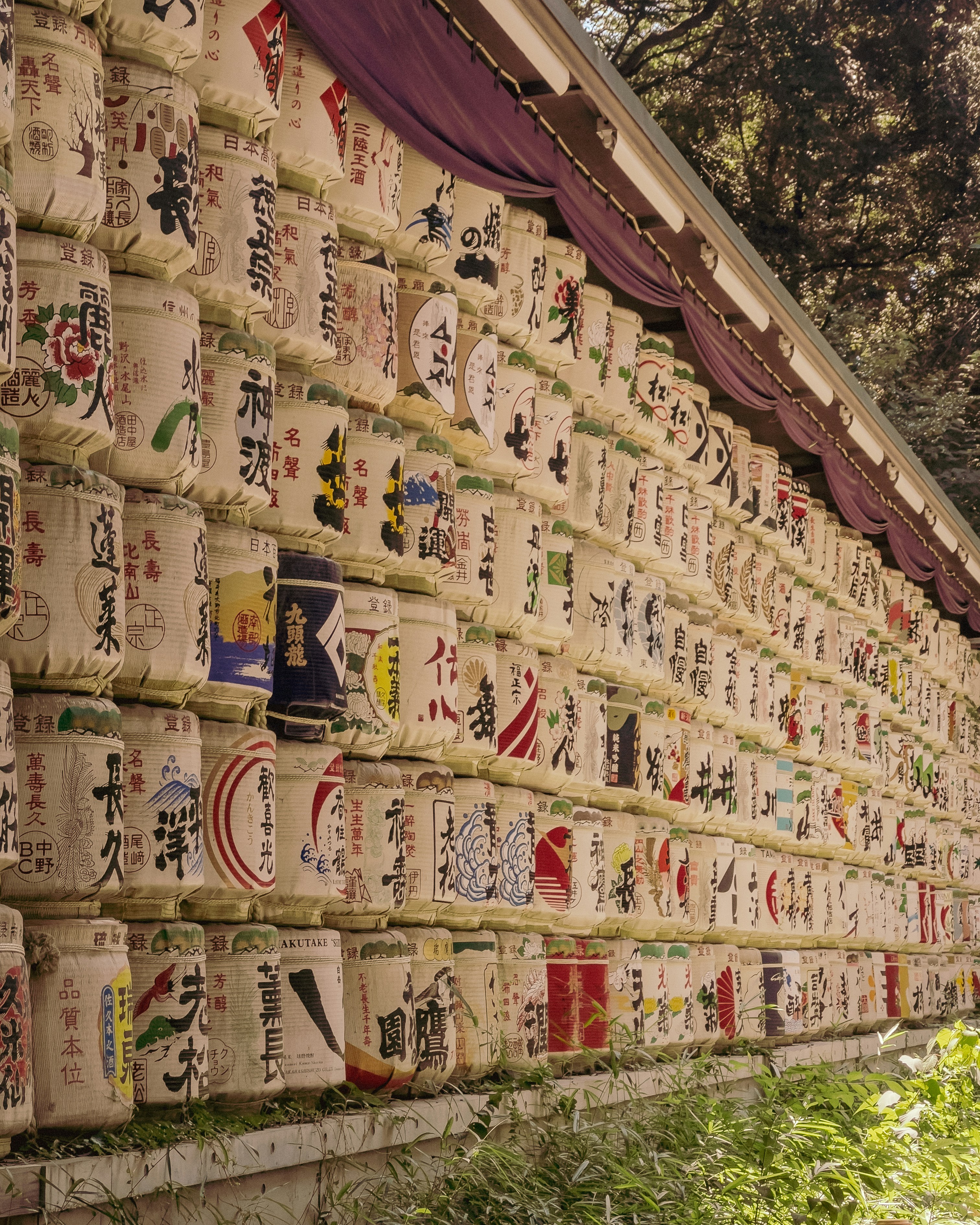 traditional medicine wallpaper, wallpaper, 5 Titik Bekam dan Manfaatnya untuk Kesehatan 6