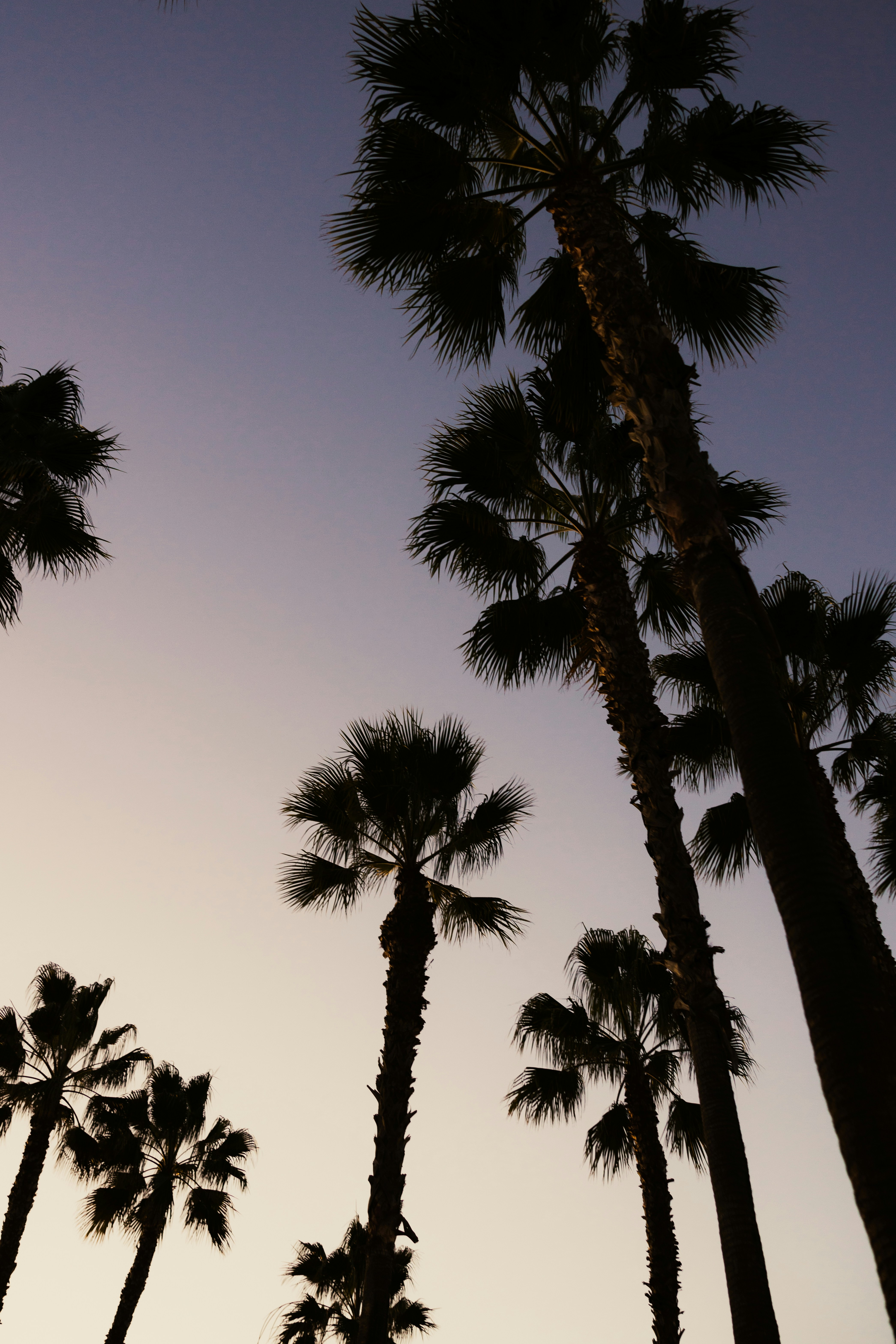 Photo by haomeng_yang