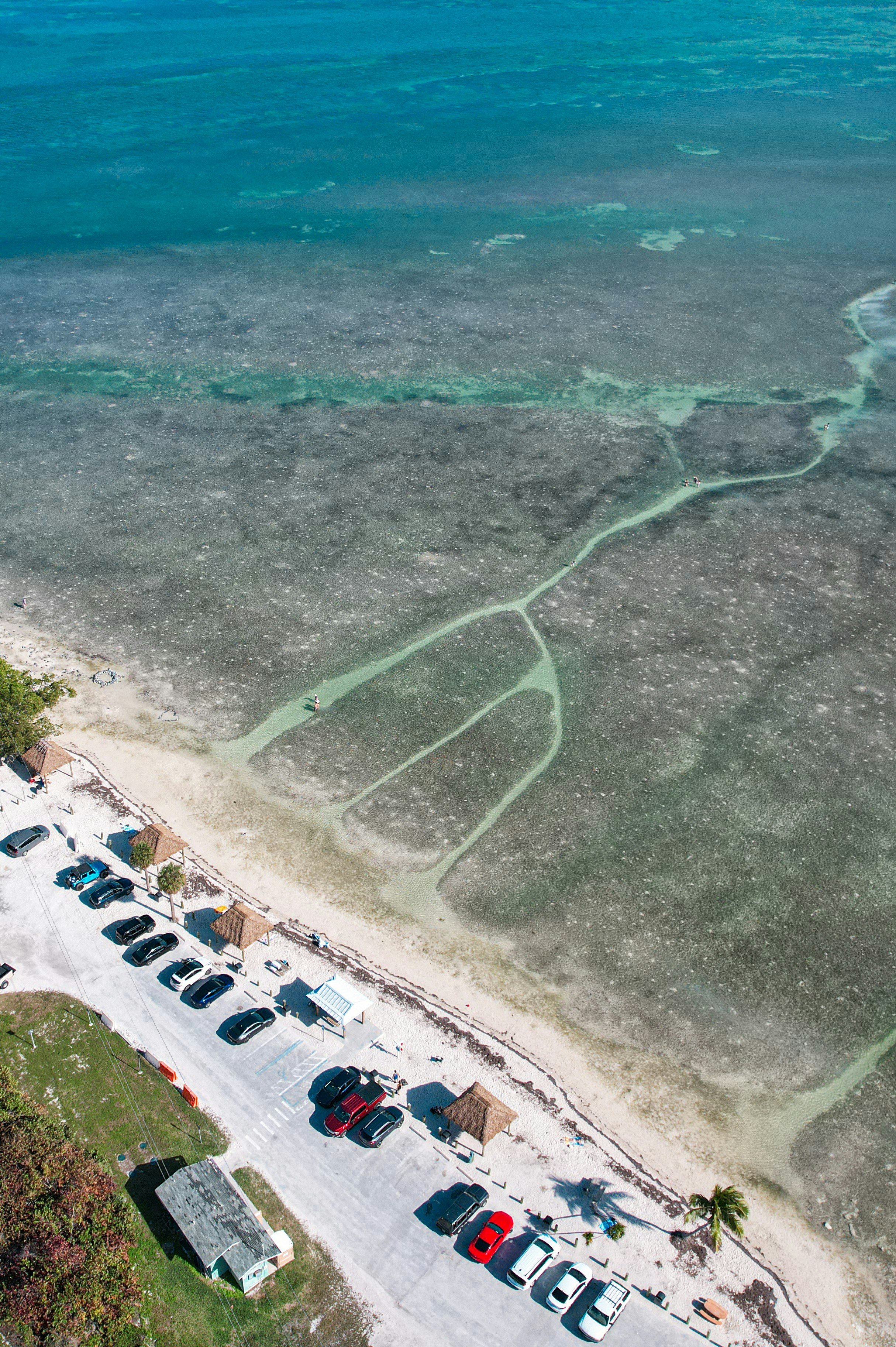 An aerial view of a beach with cars parked on it