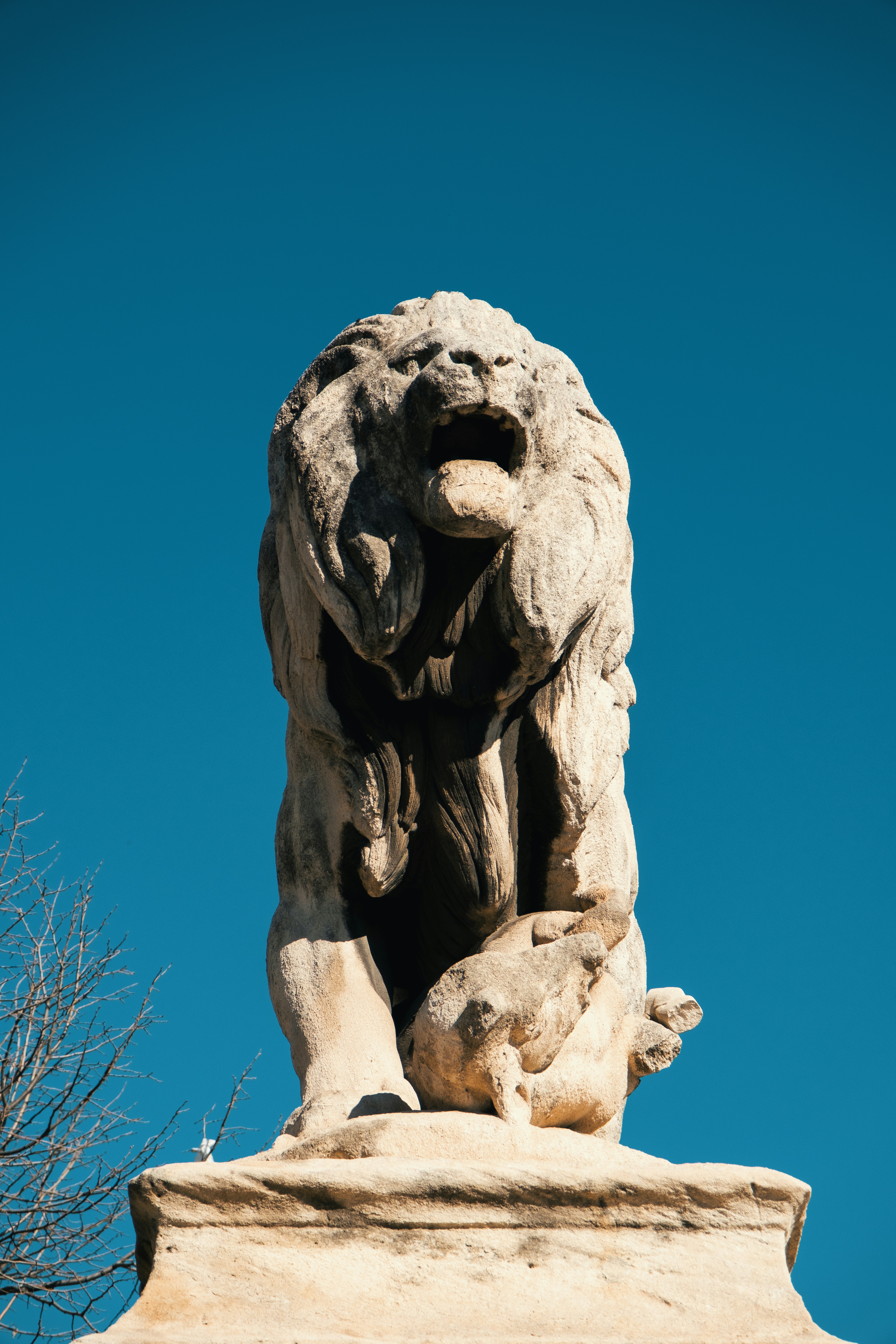 The Majestic Lion: King of Ancient Legends (image credits: unsplash)