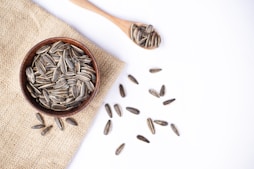 Sunflower seeds in a bowl and on a spoon.