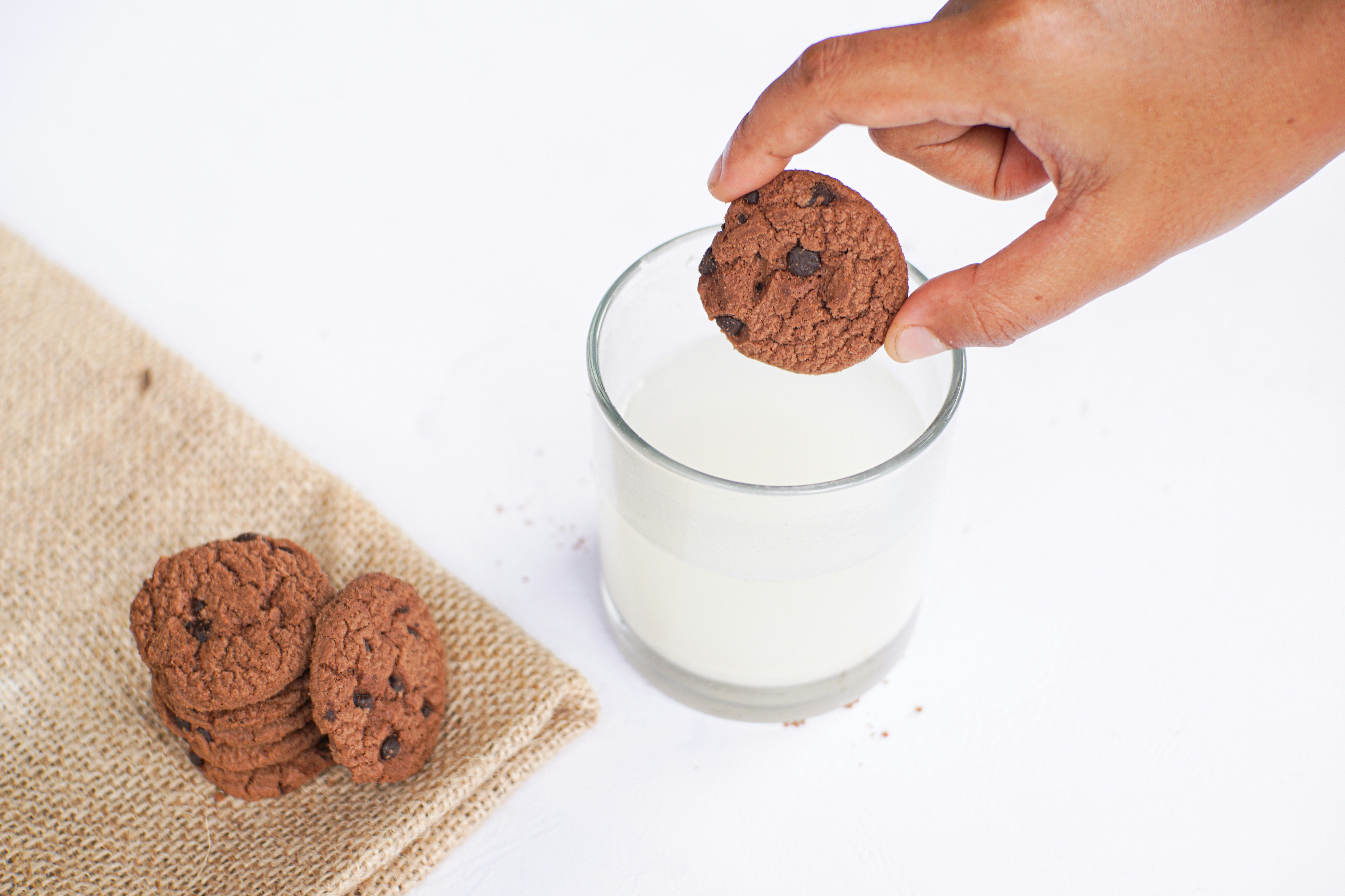 Dipping a chocolate chip cookie into milk.