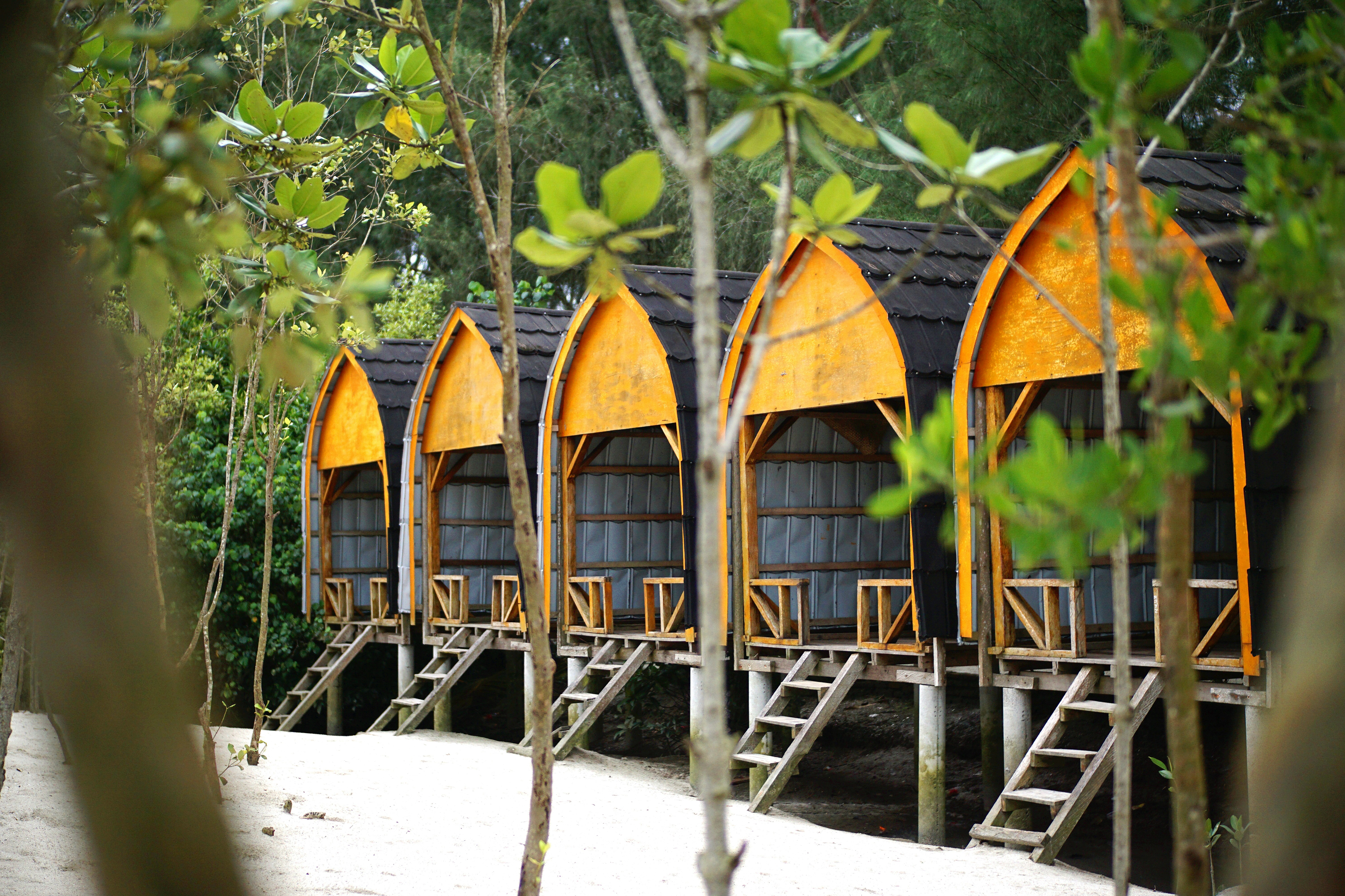 Wooden huts stand among the trees near the beach.