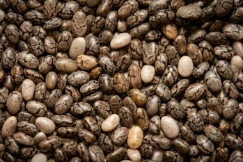 Chia seeds are clustered in the image.