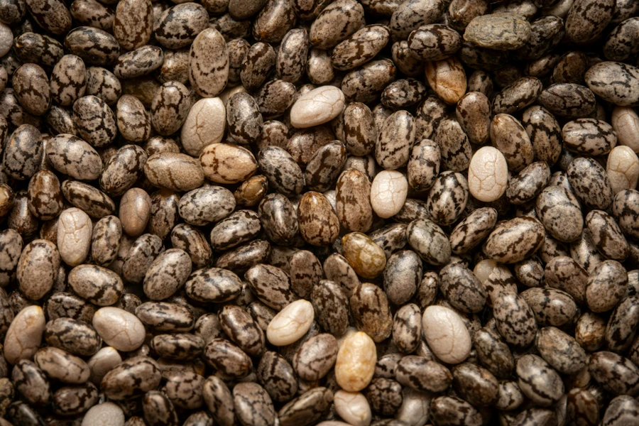 Chia seeds