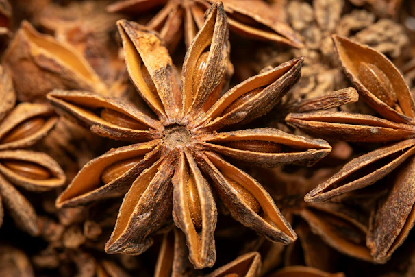 Star anise, aromatic spice.