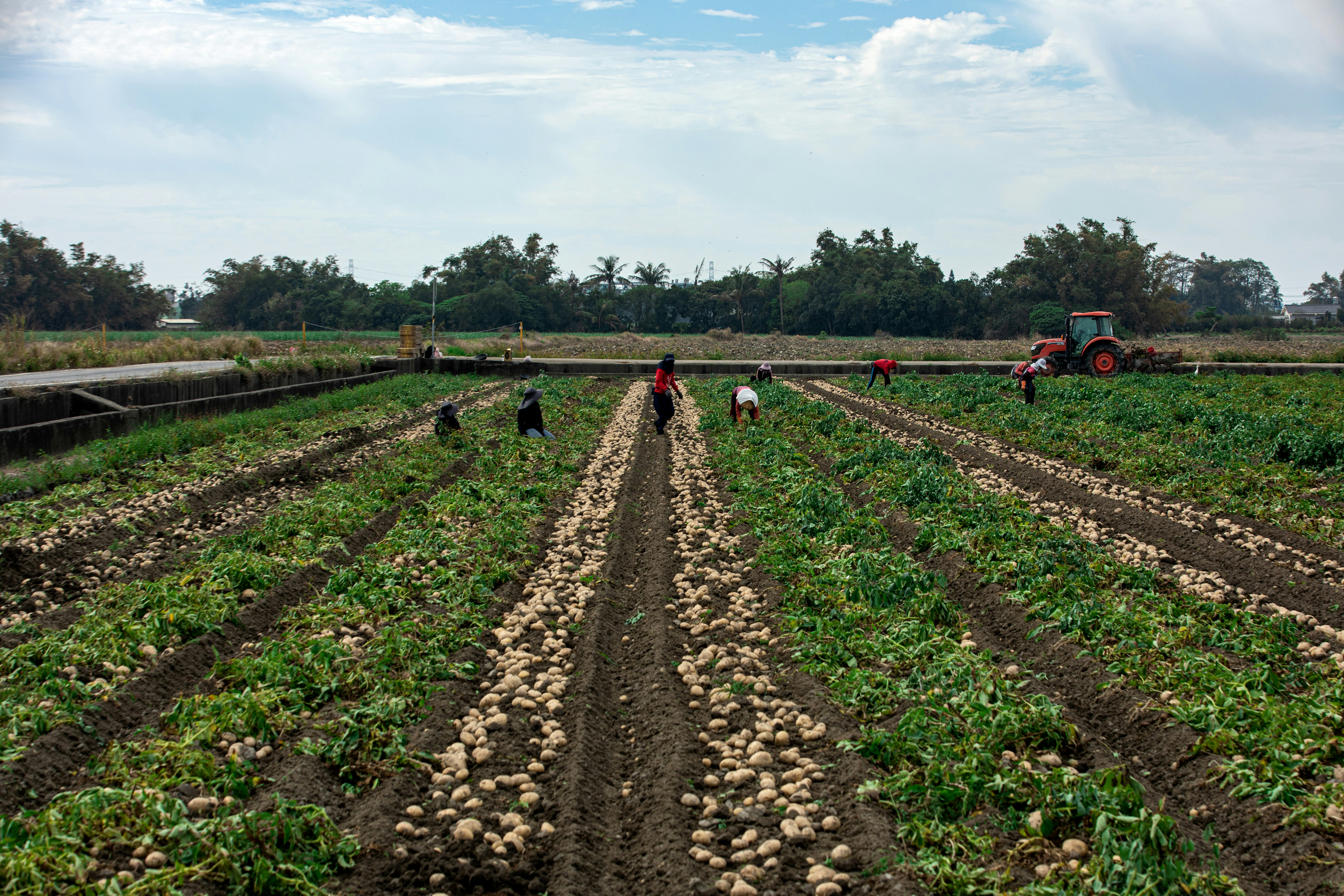 Inversión y apoyo a productores