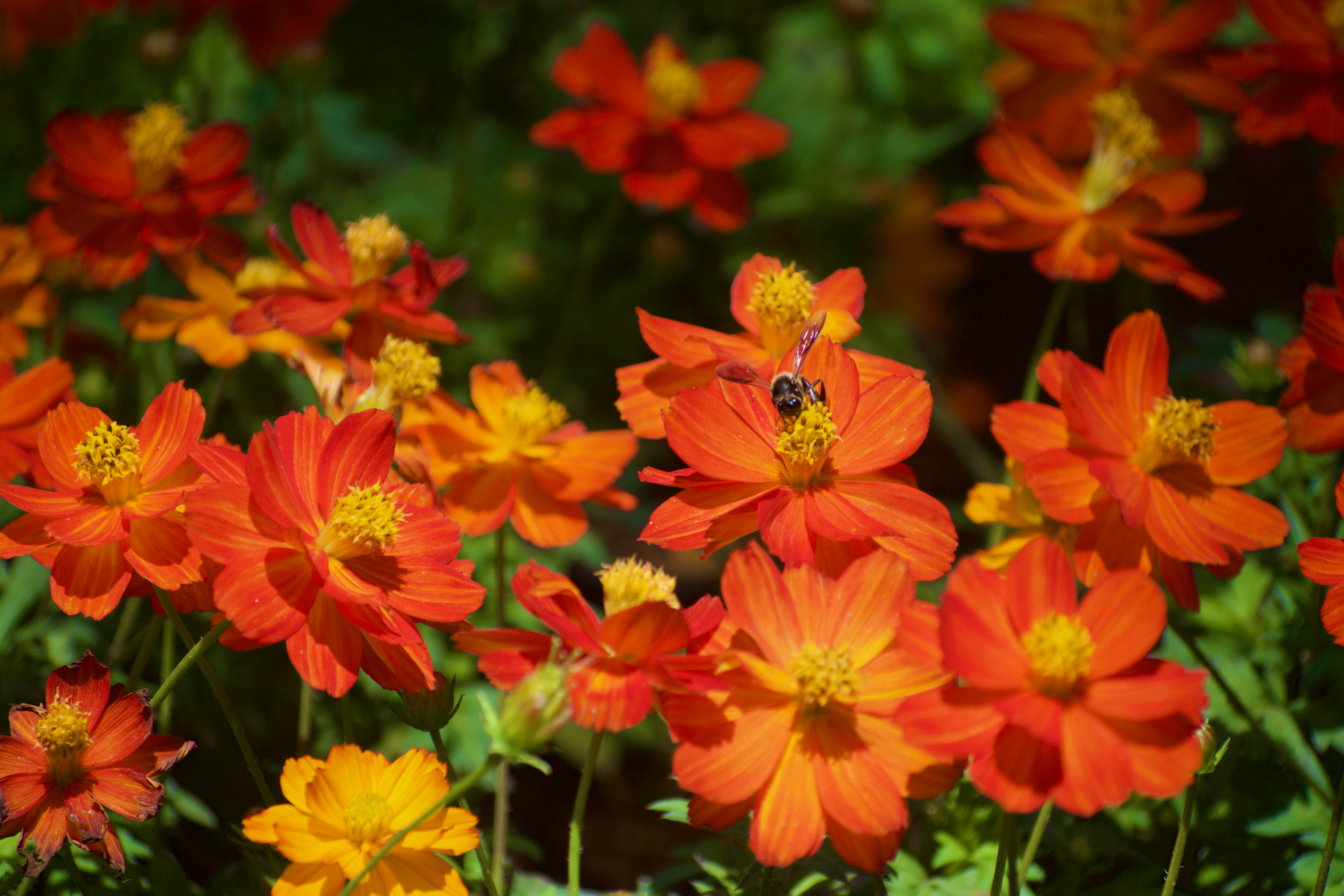 Photo by theushakiran