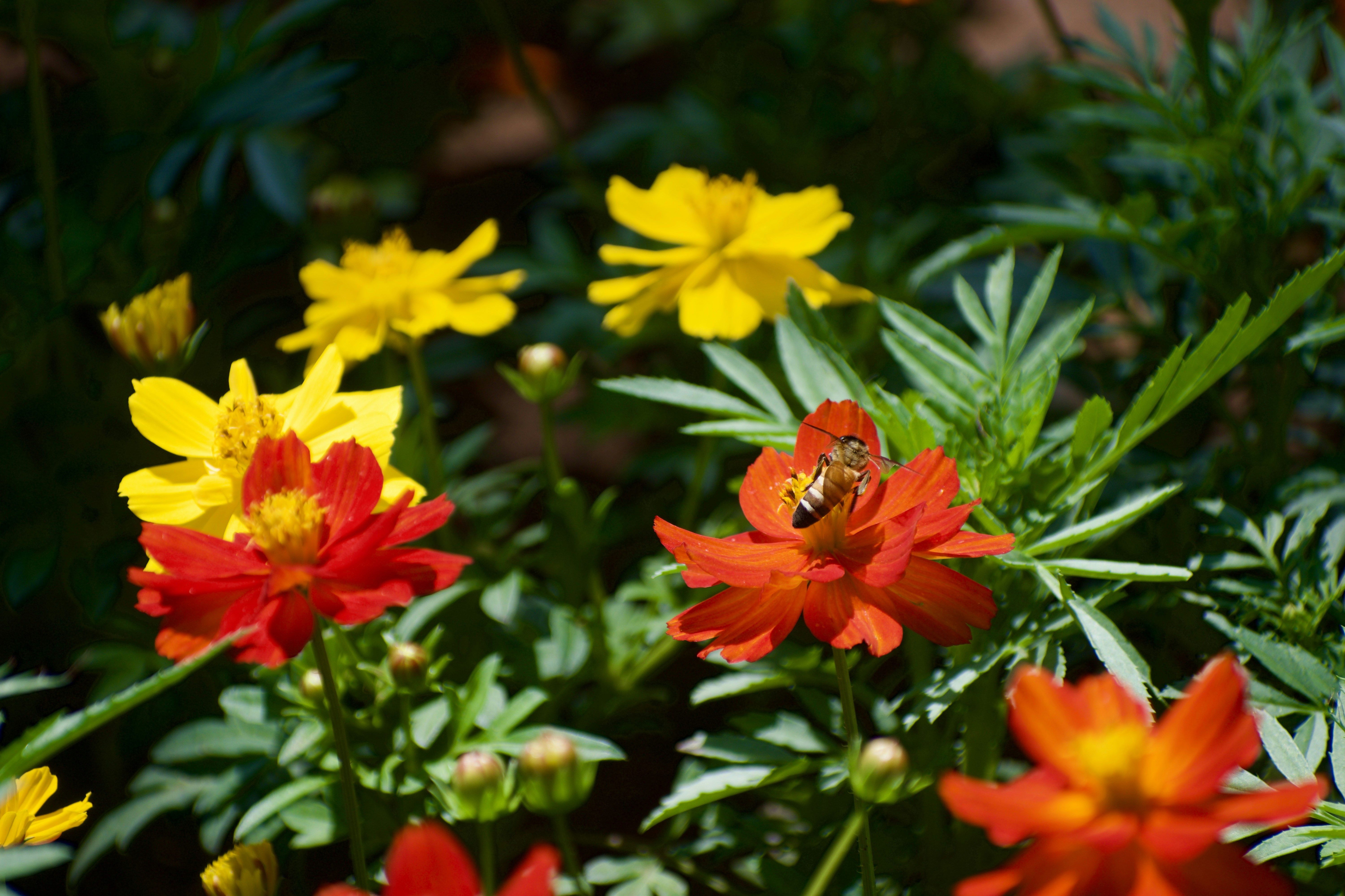 Photo by theushakiran