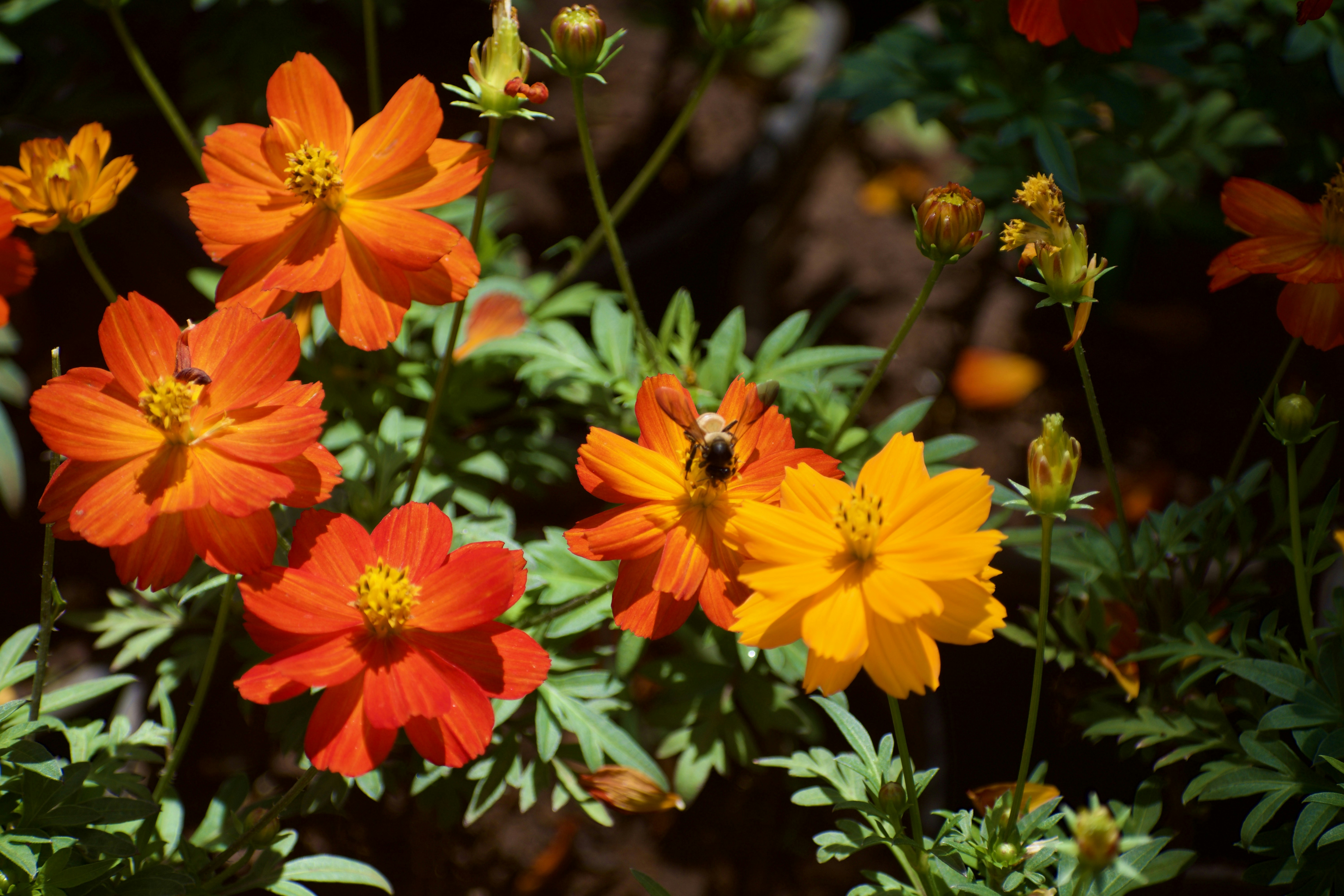 Photo by theushakiran