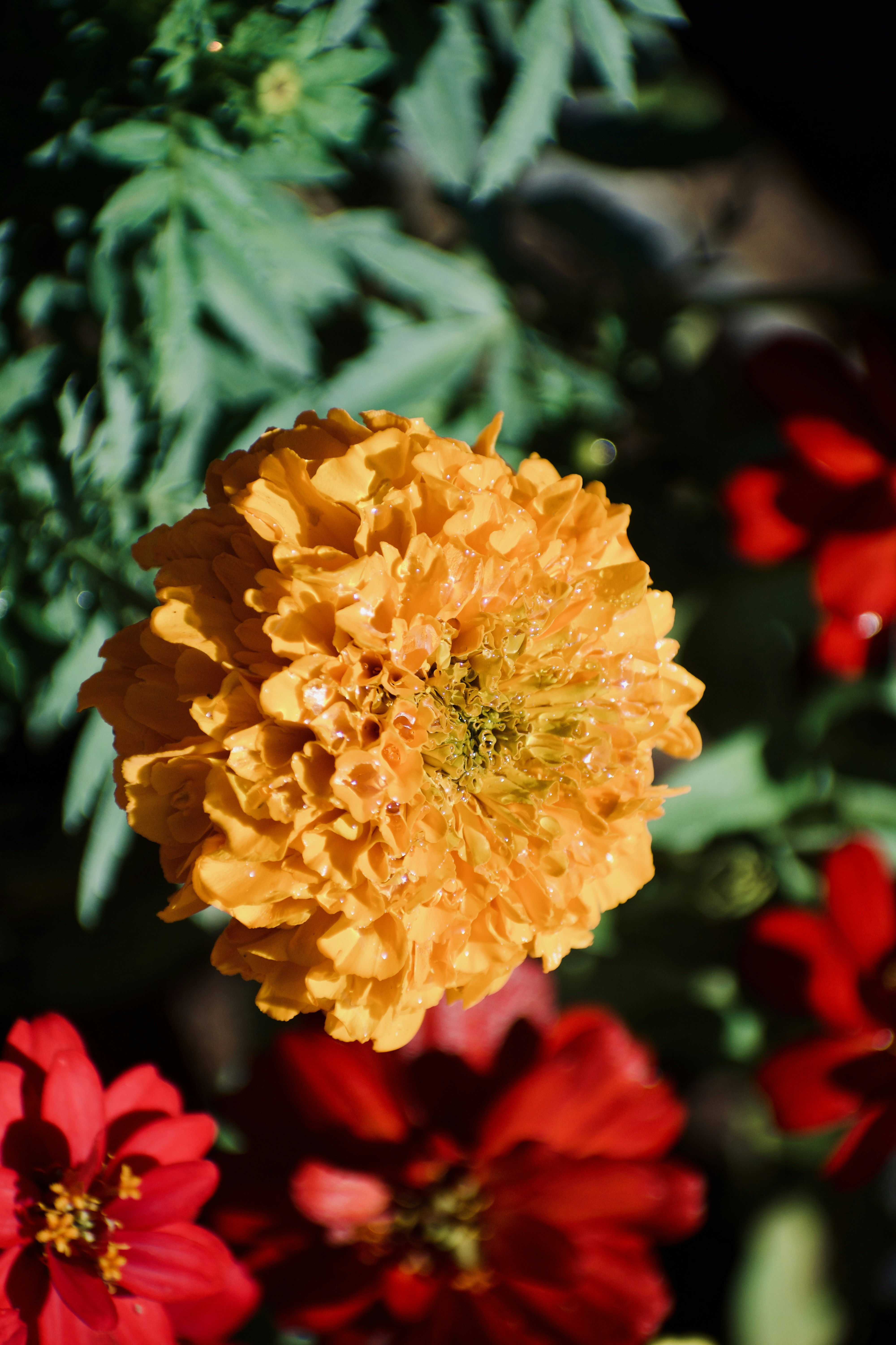 Photo by theushakiran