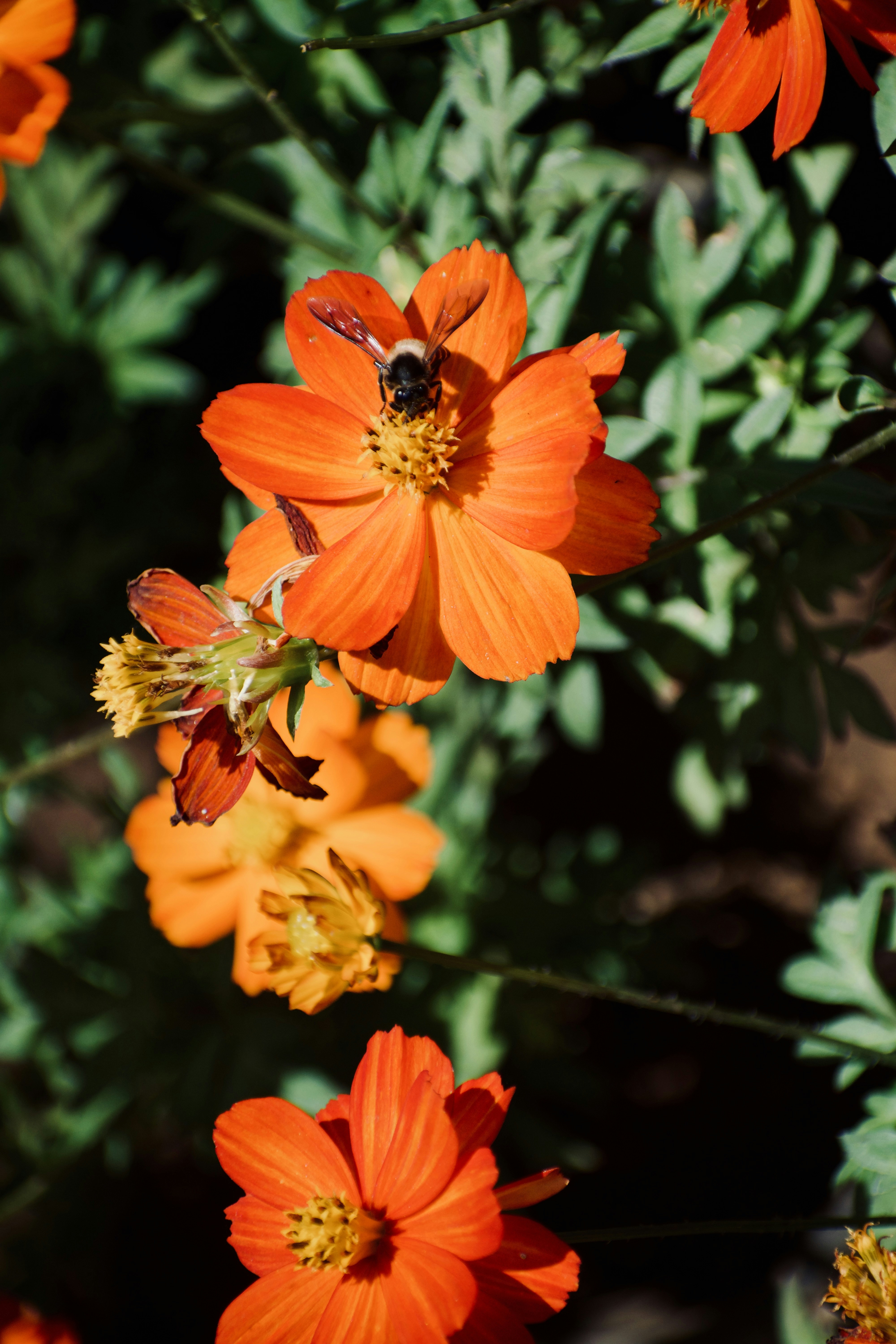 Photo by theushakiran