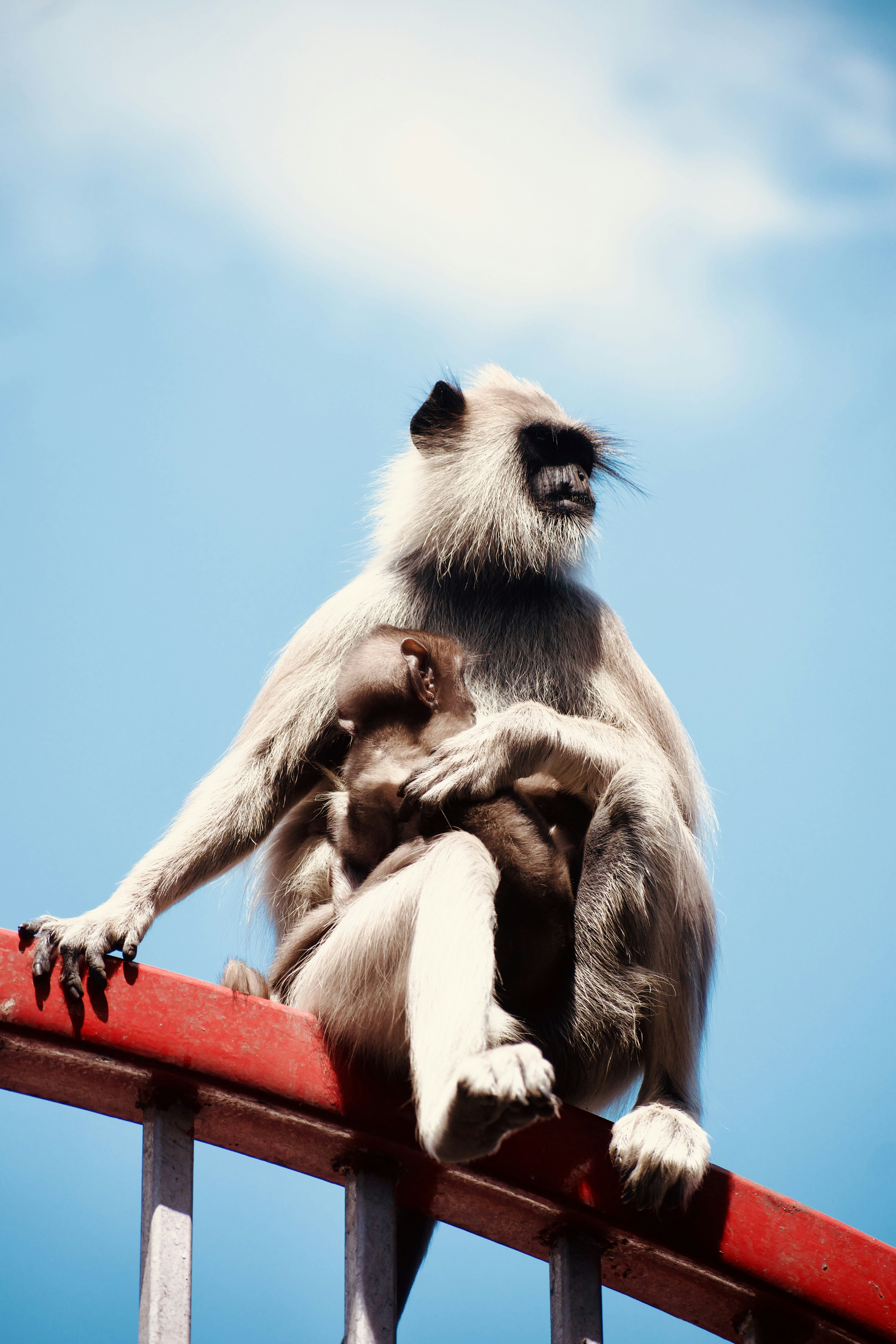 Photo by theushakiran