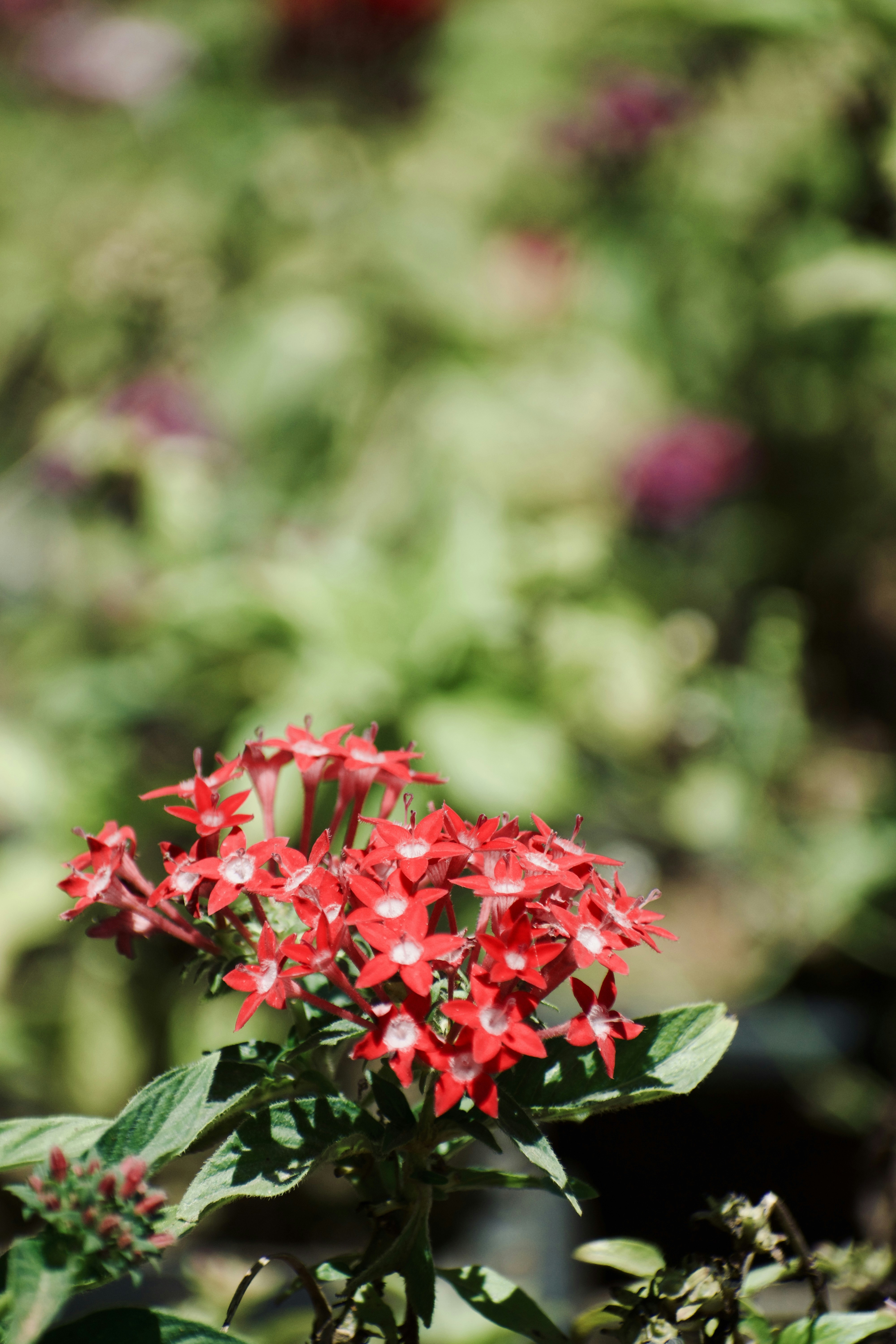 Photo by theushakiran