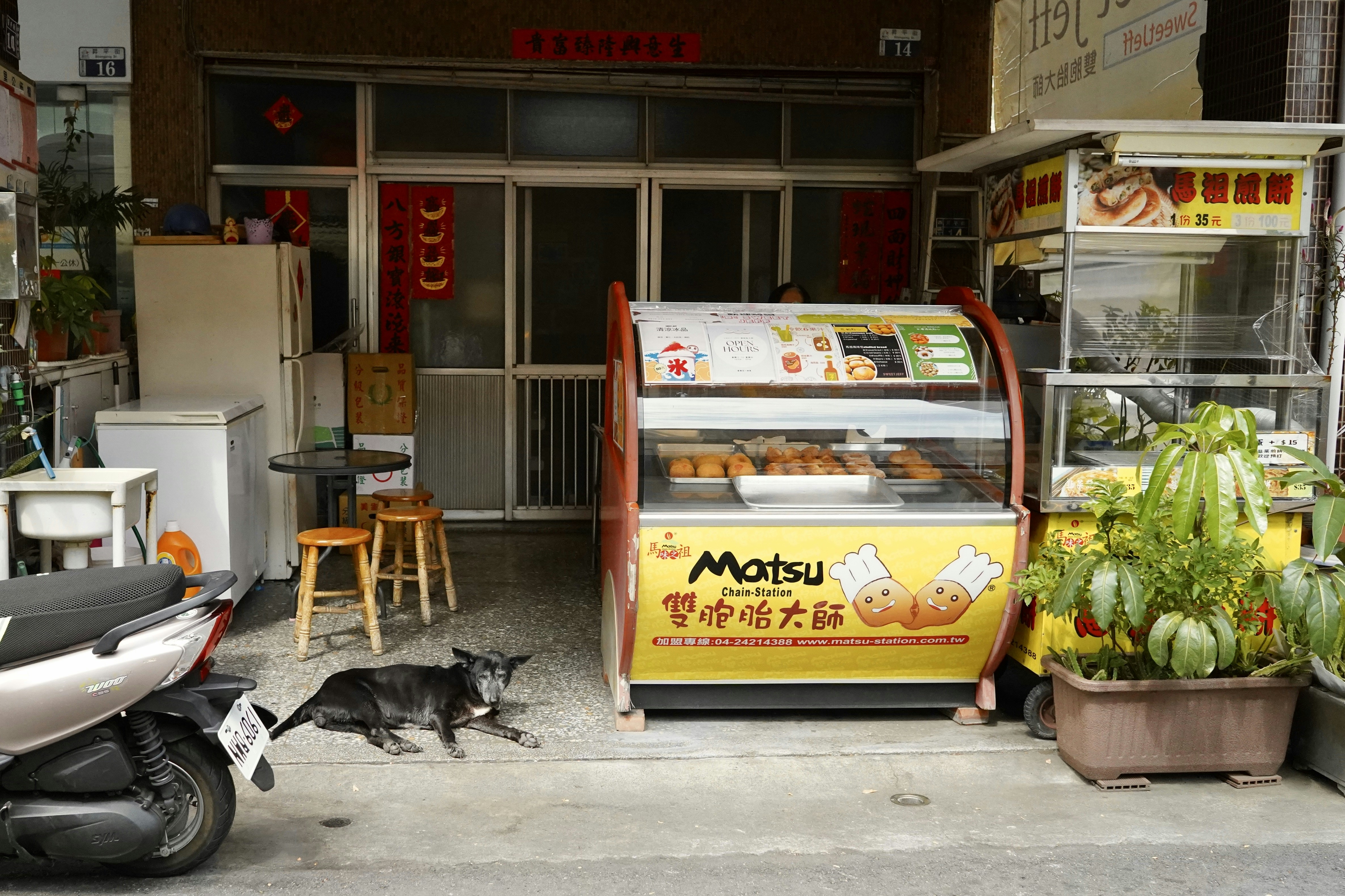 A dog rests in front of a store.