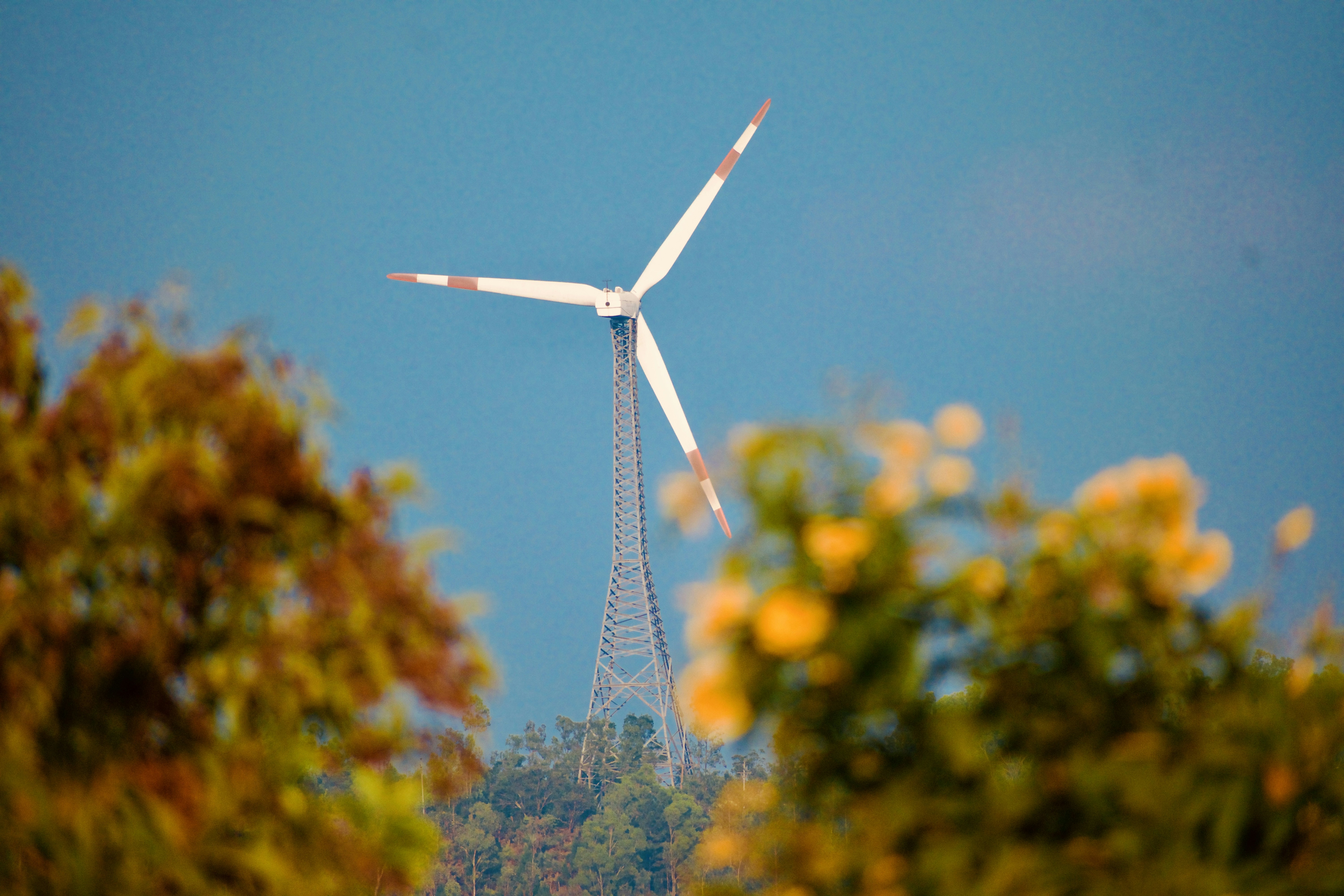 A wind turbine stands tall amidst nature's beauty.