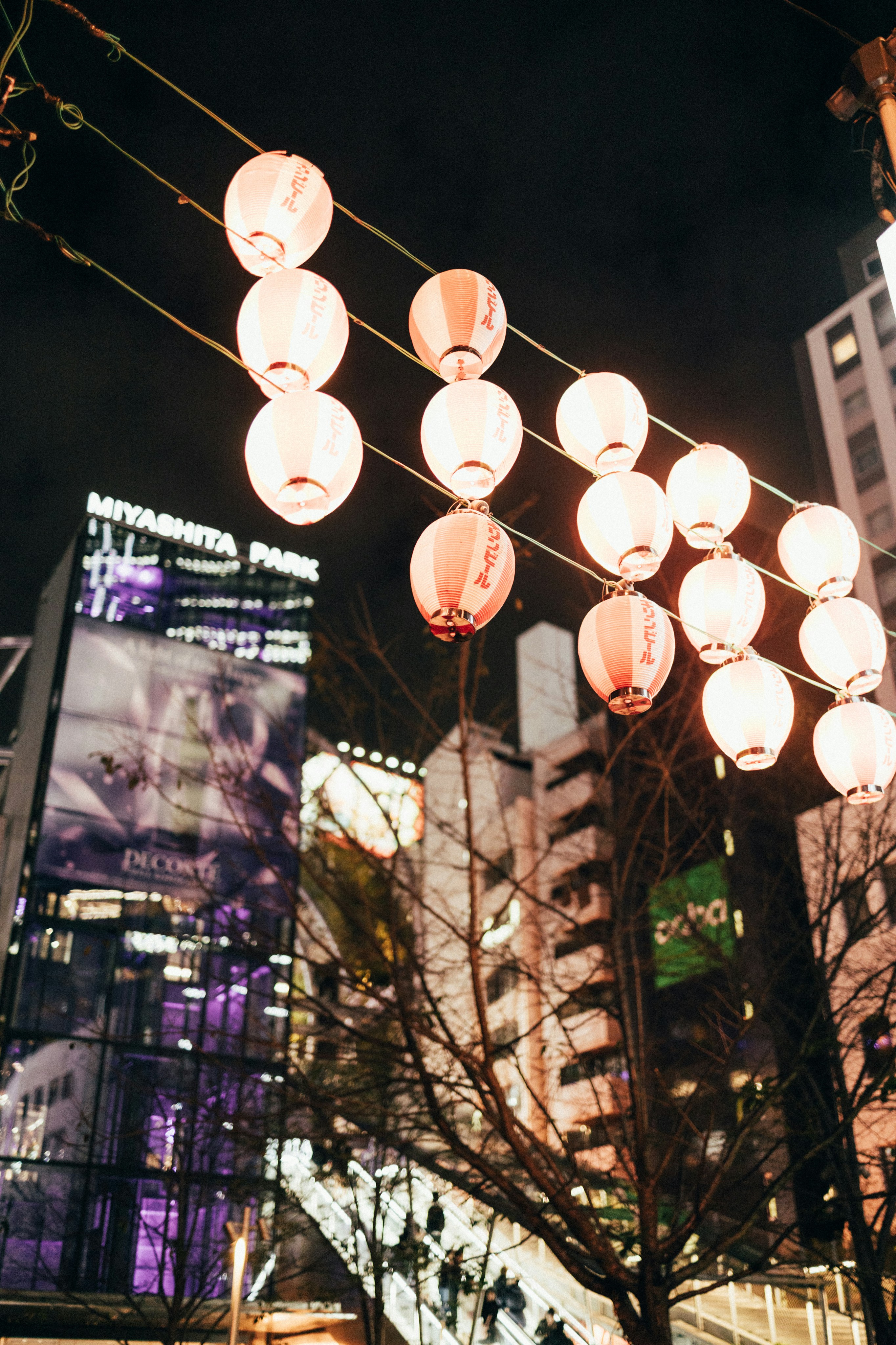 Photo by tsuyoshikozu