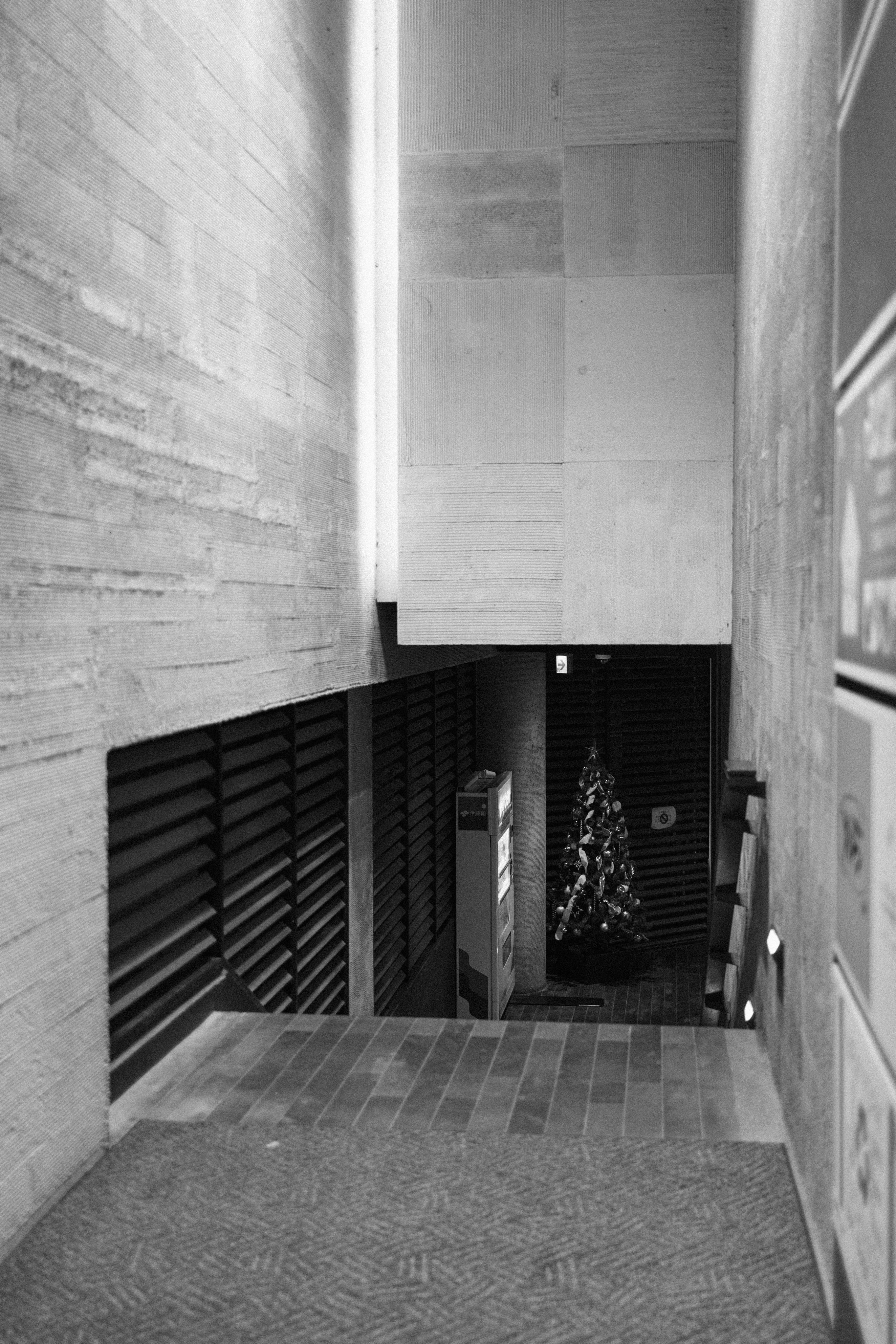 Photo by tsuyoshikozu