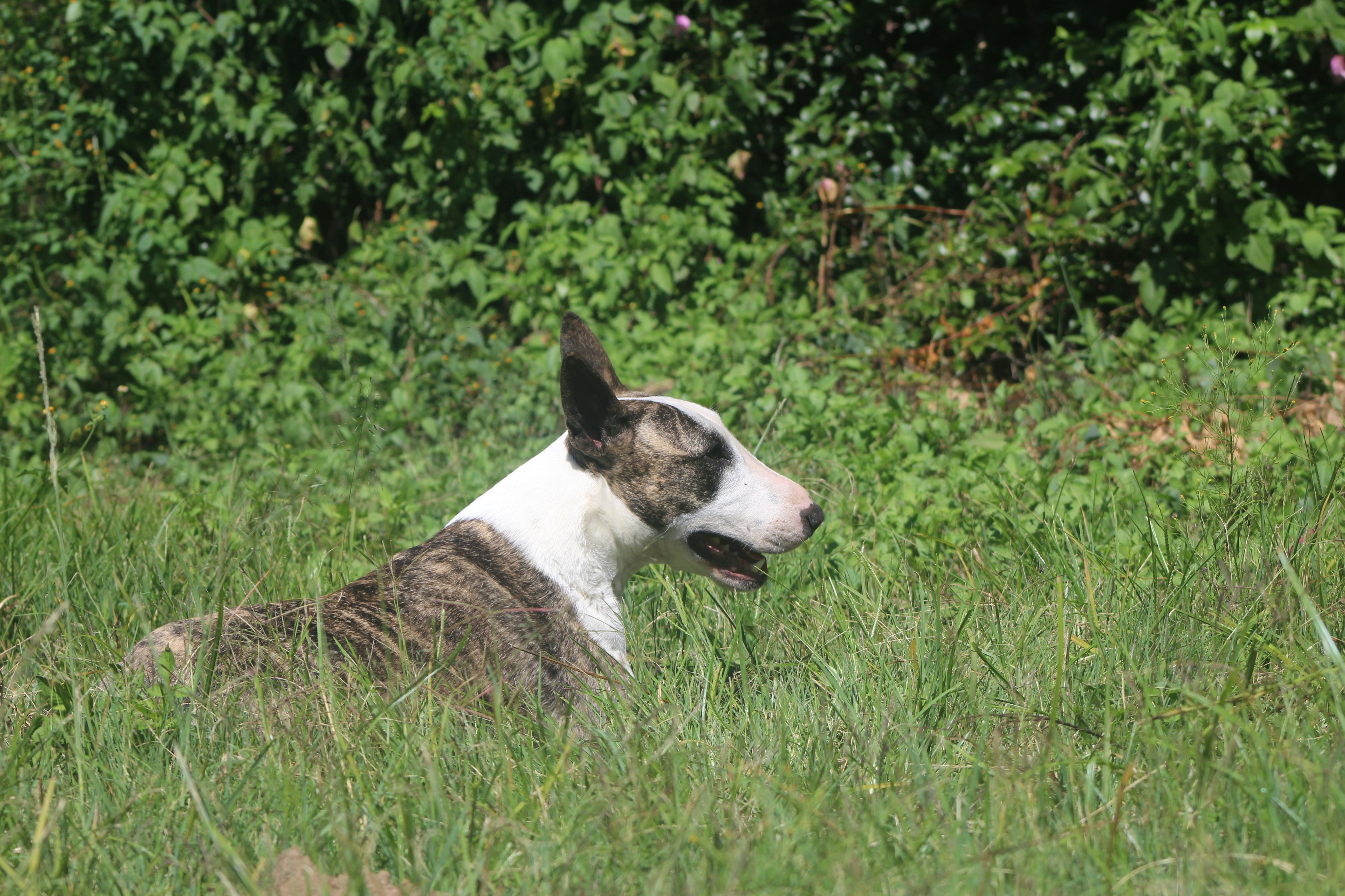 Photo by william_nettmann