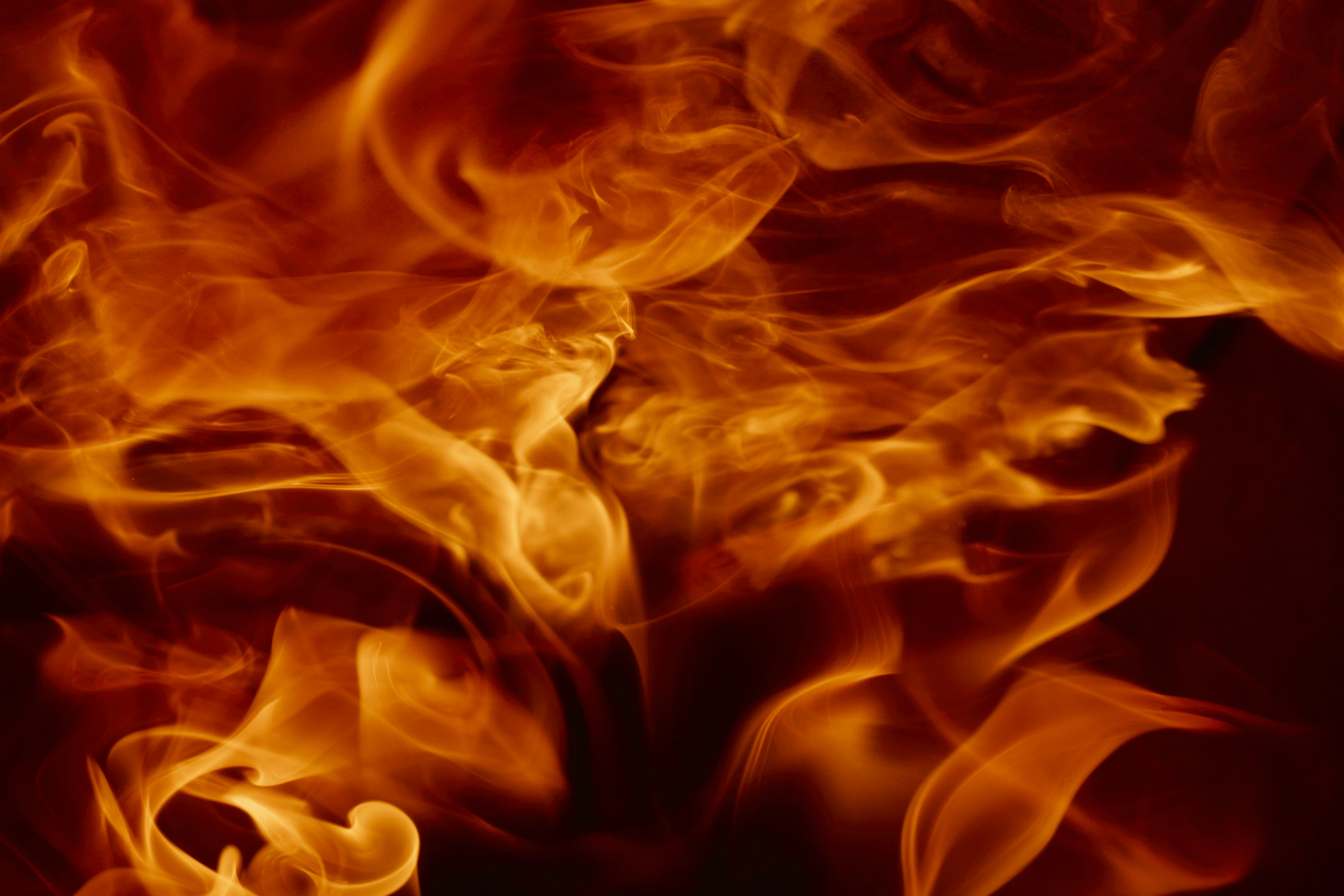 Photo by wolfgang_hasselmann