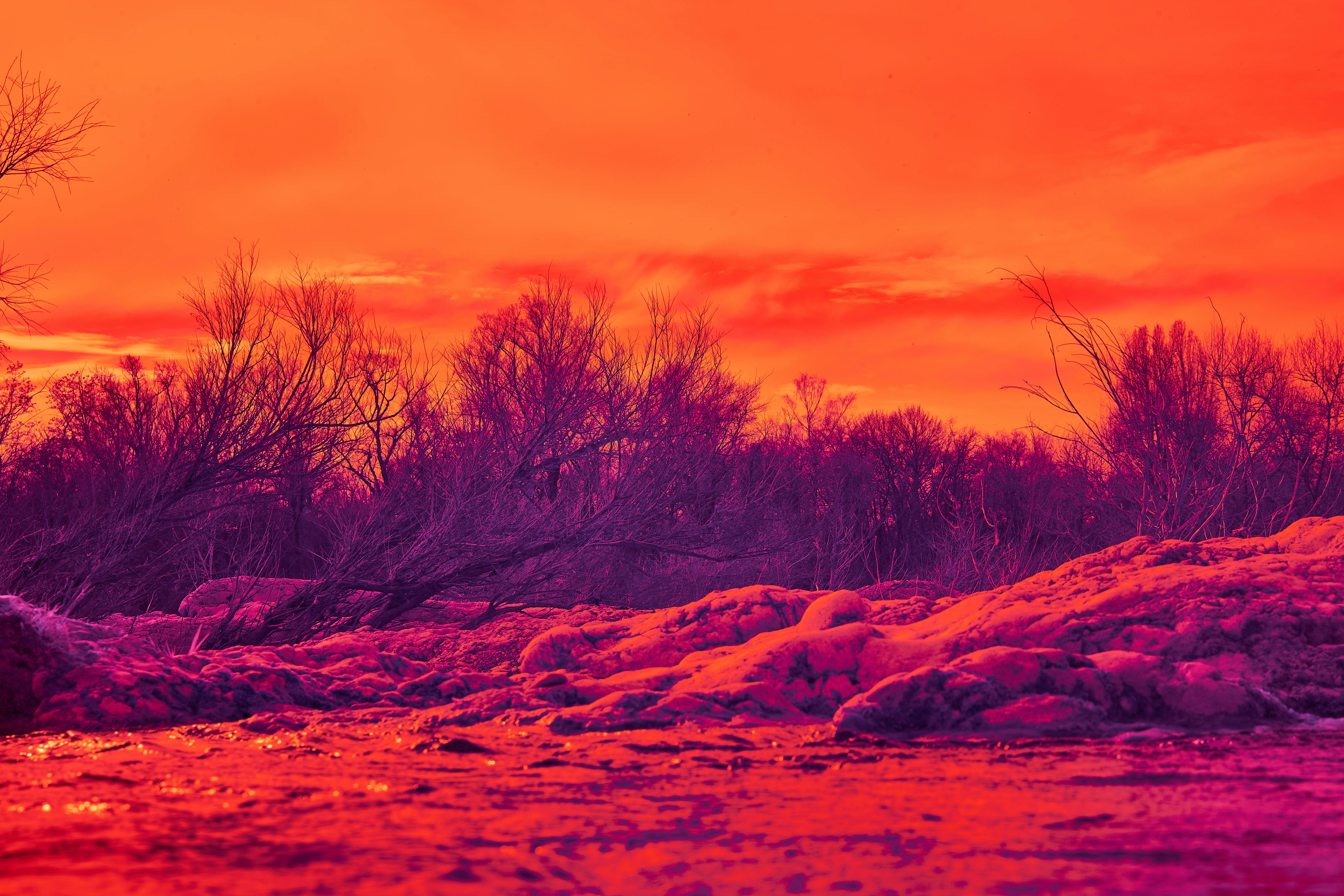 Photo by wolfgang_hasselmann