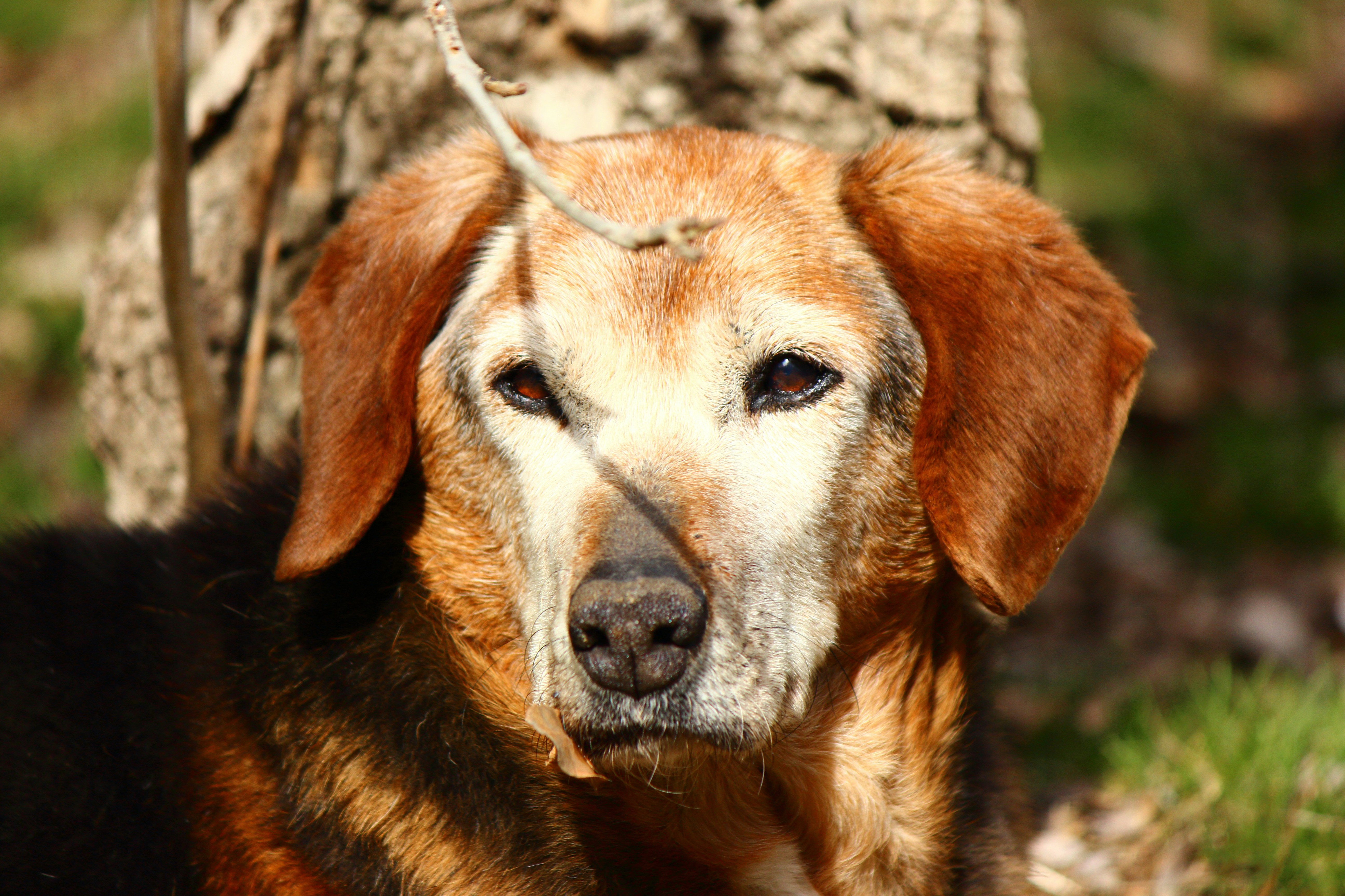 Photo by cengizozarpat