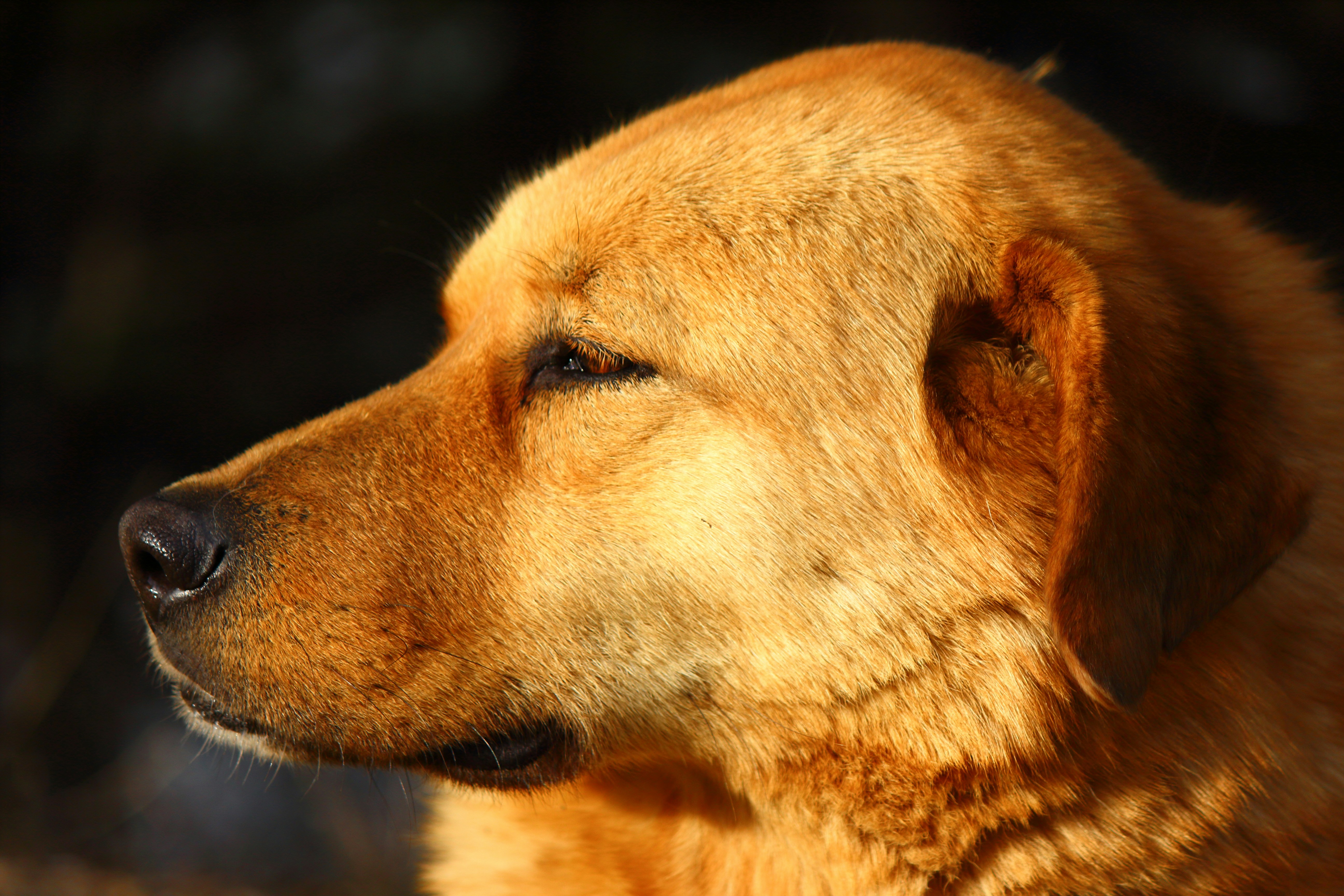 Photo by cengizozarpat